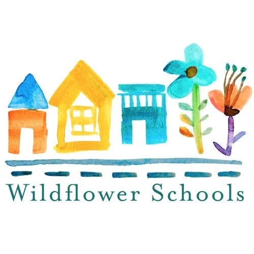 #15 - Wildflower Schools Case Study
