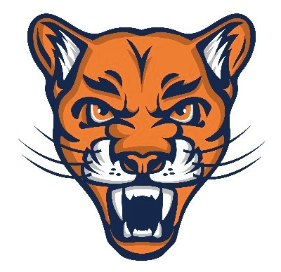 Illustration of a fierce tiger's head with orange fur, black stripes, and sharp teeth.