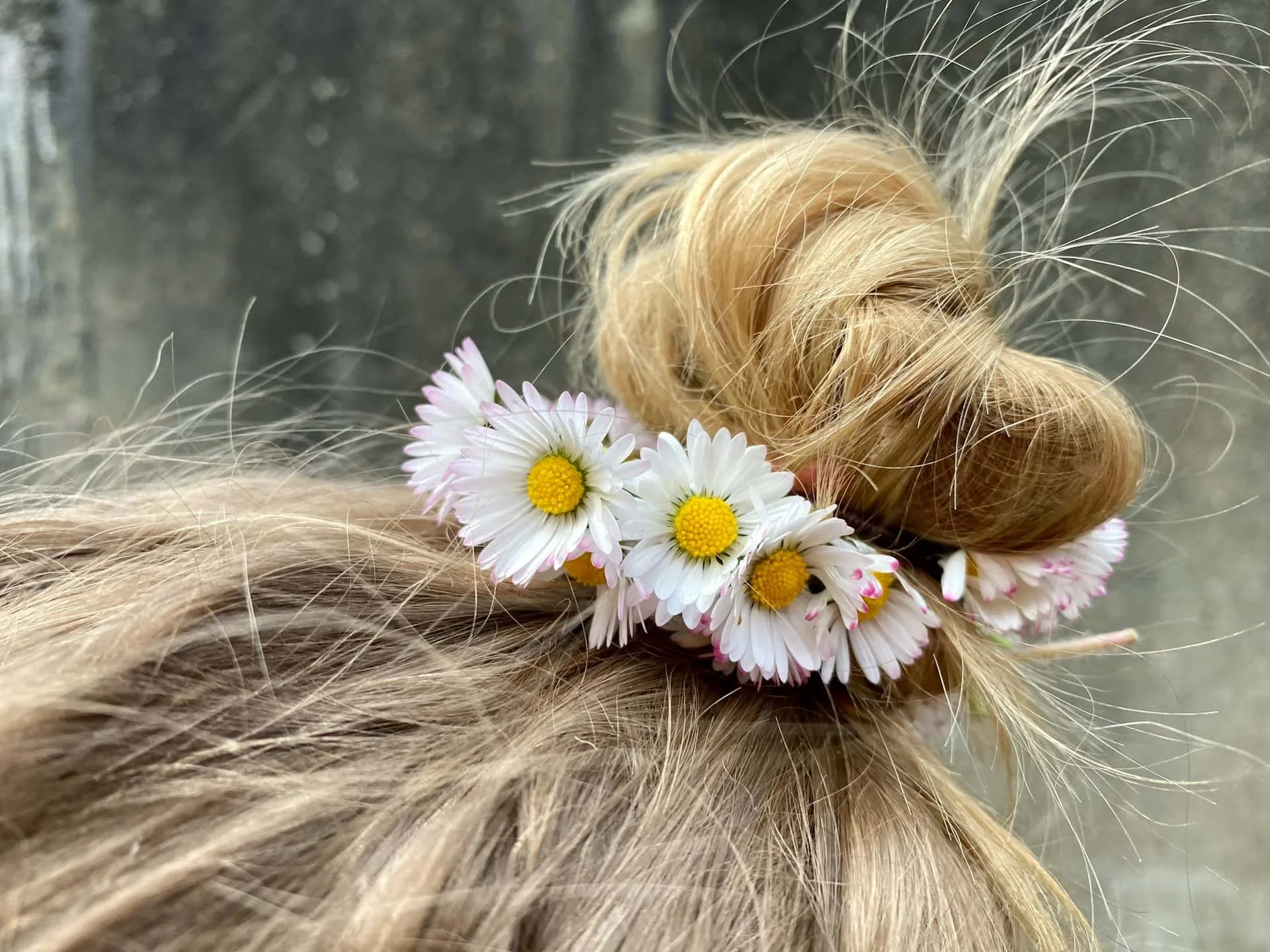 Lice Clinic vs In-Home Treatment in Manhattan: An Honest Comparison