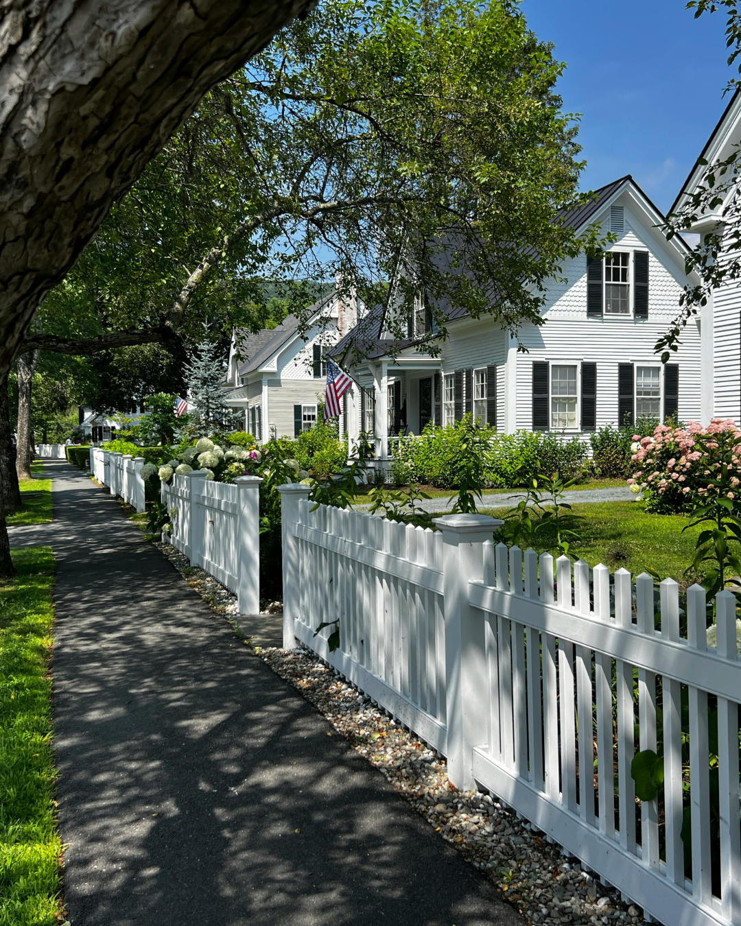 In-home Lice Removal New Jersey