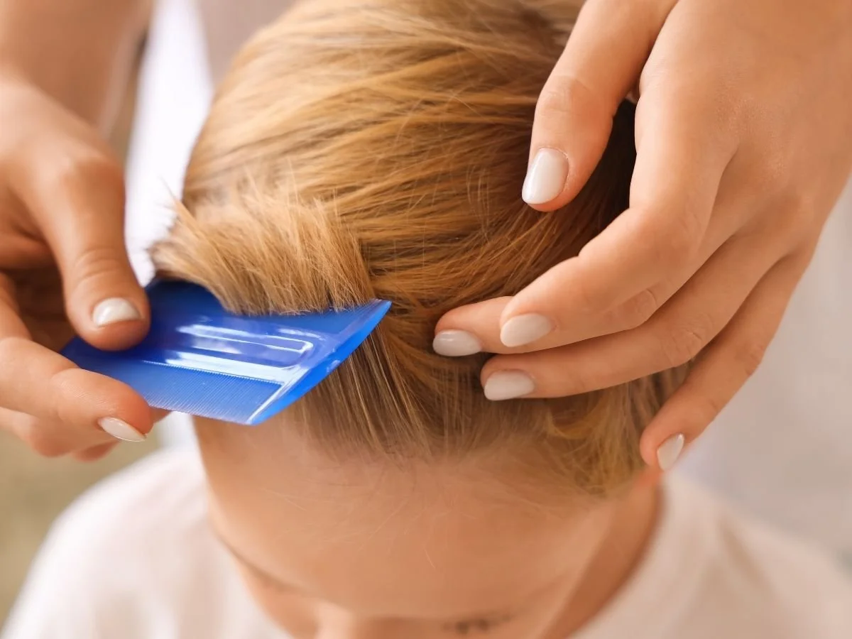 How Professional Lice Removal Actually Works: A Transparent Look Behind the Process