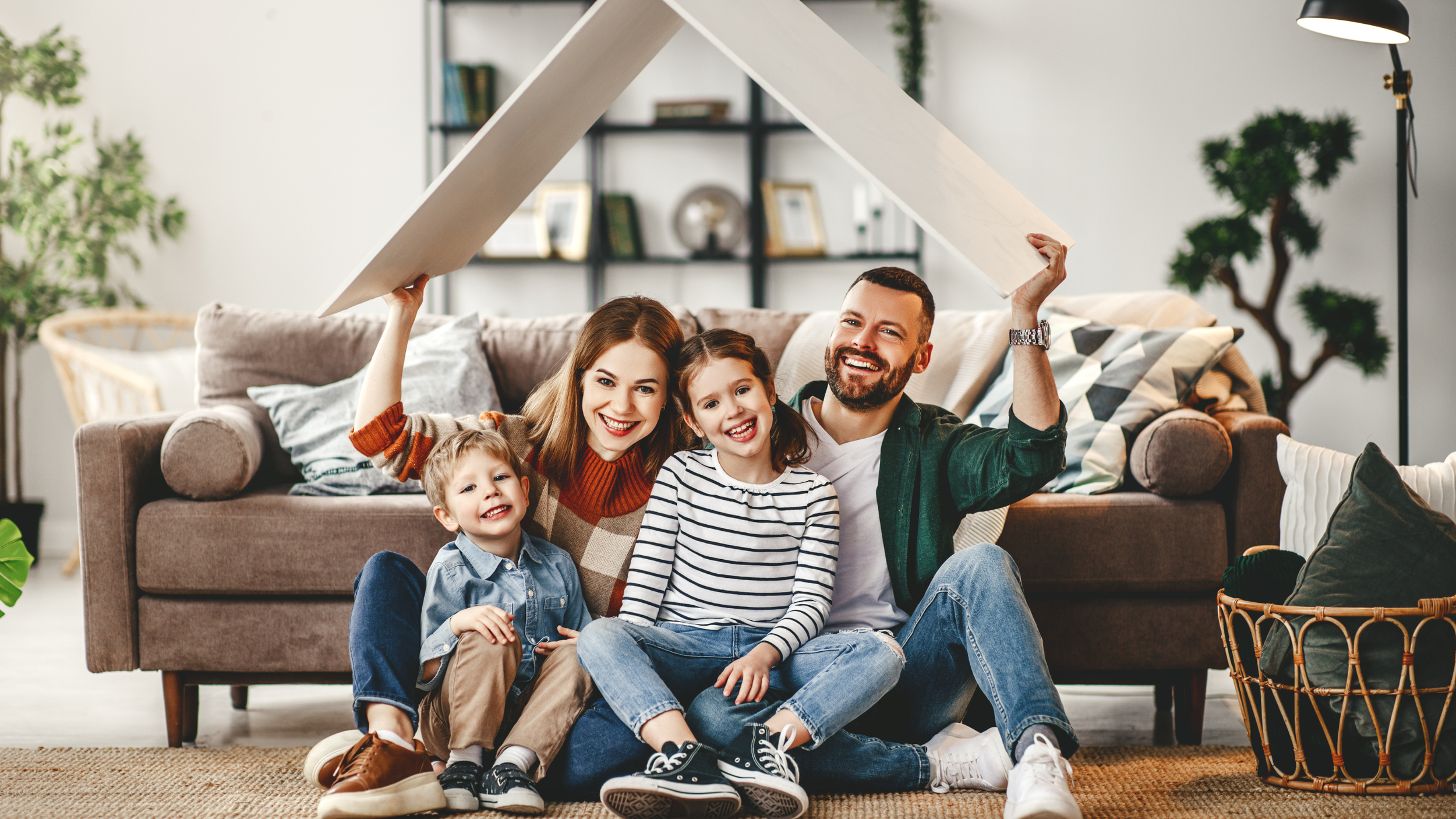 how professional lice removal works