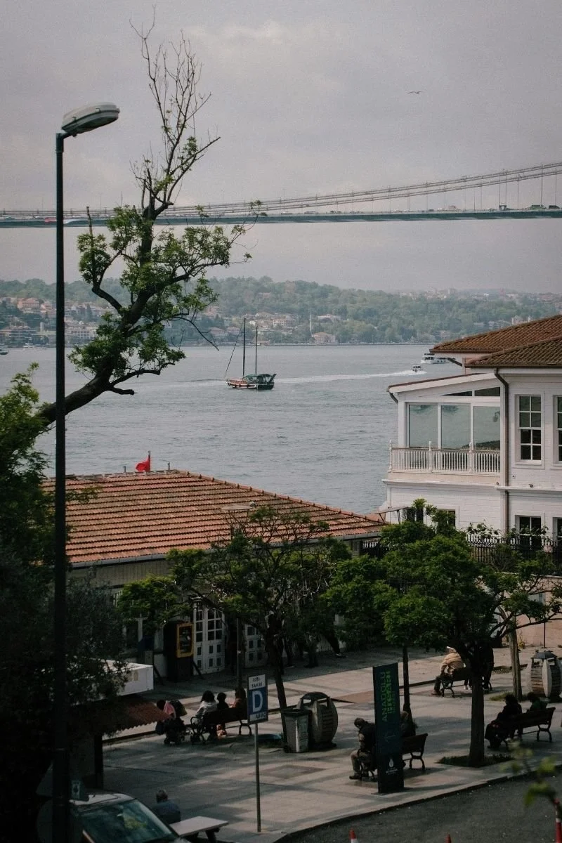 Lice Removal Westchester