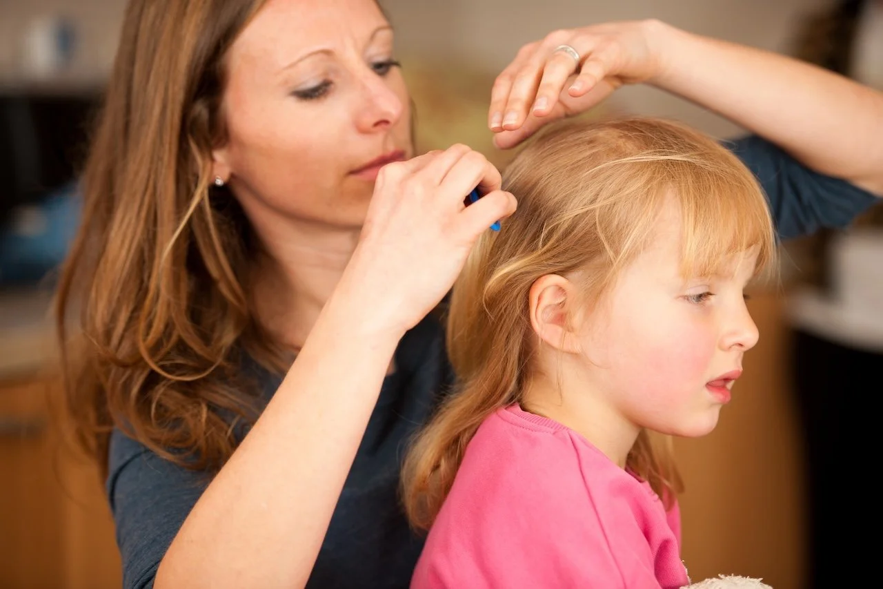 Do Natural Lice Treatments Work? What the Research Actually Shows