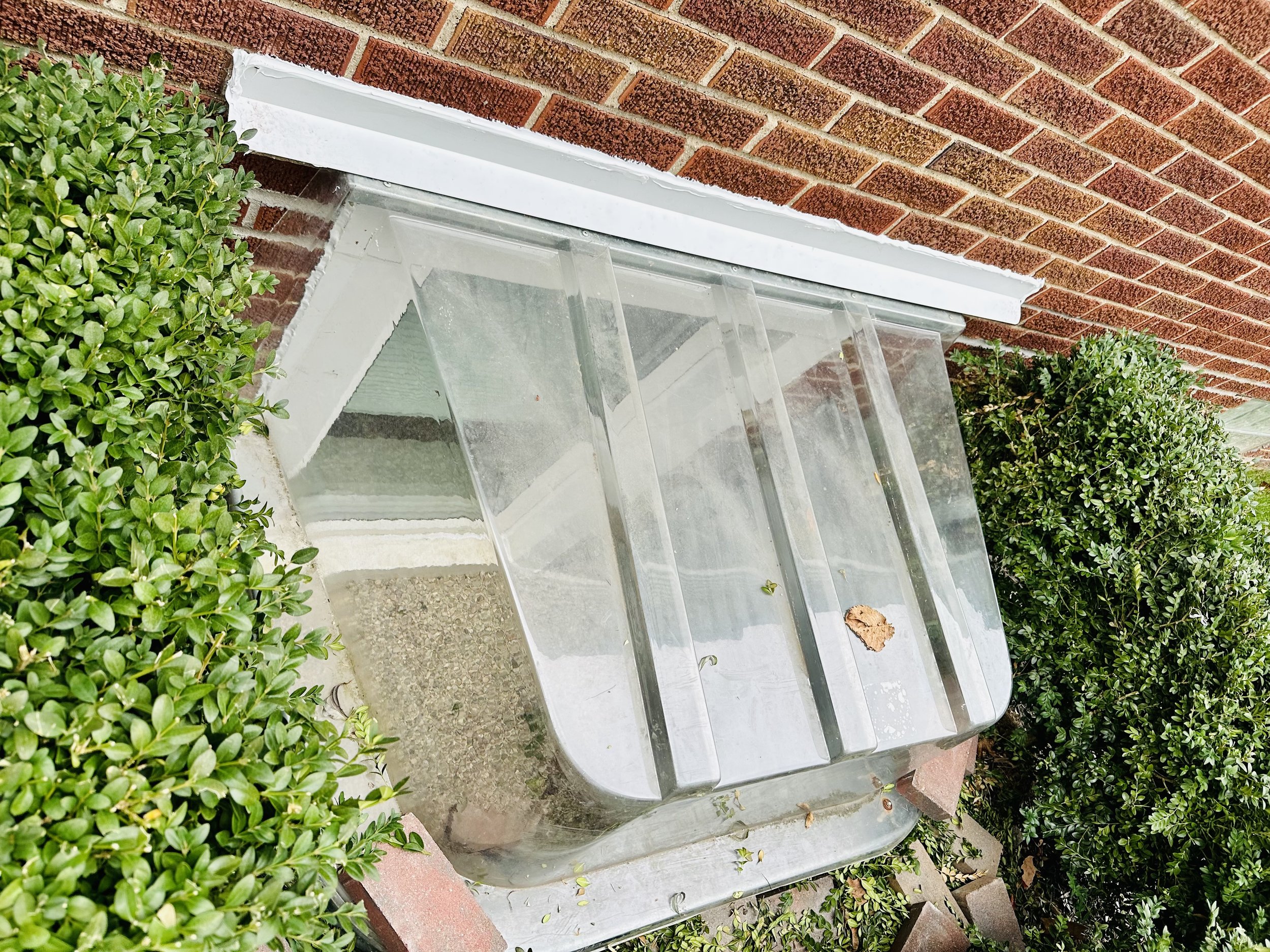 Empty glass display case mounted on brick wall, with some leaves and debris inside, surrounded by green bushes.