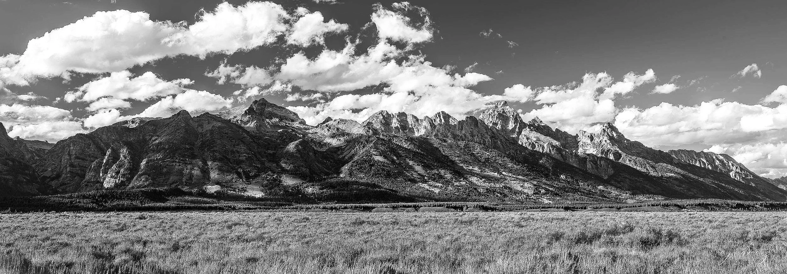 DSC_5876-2-1.jpg