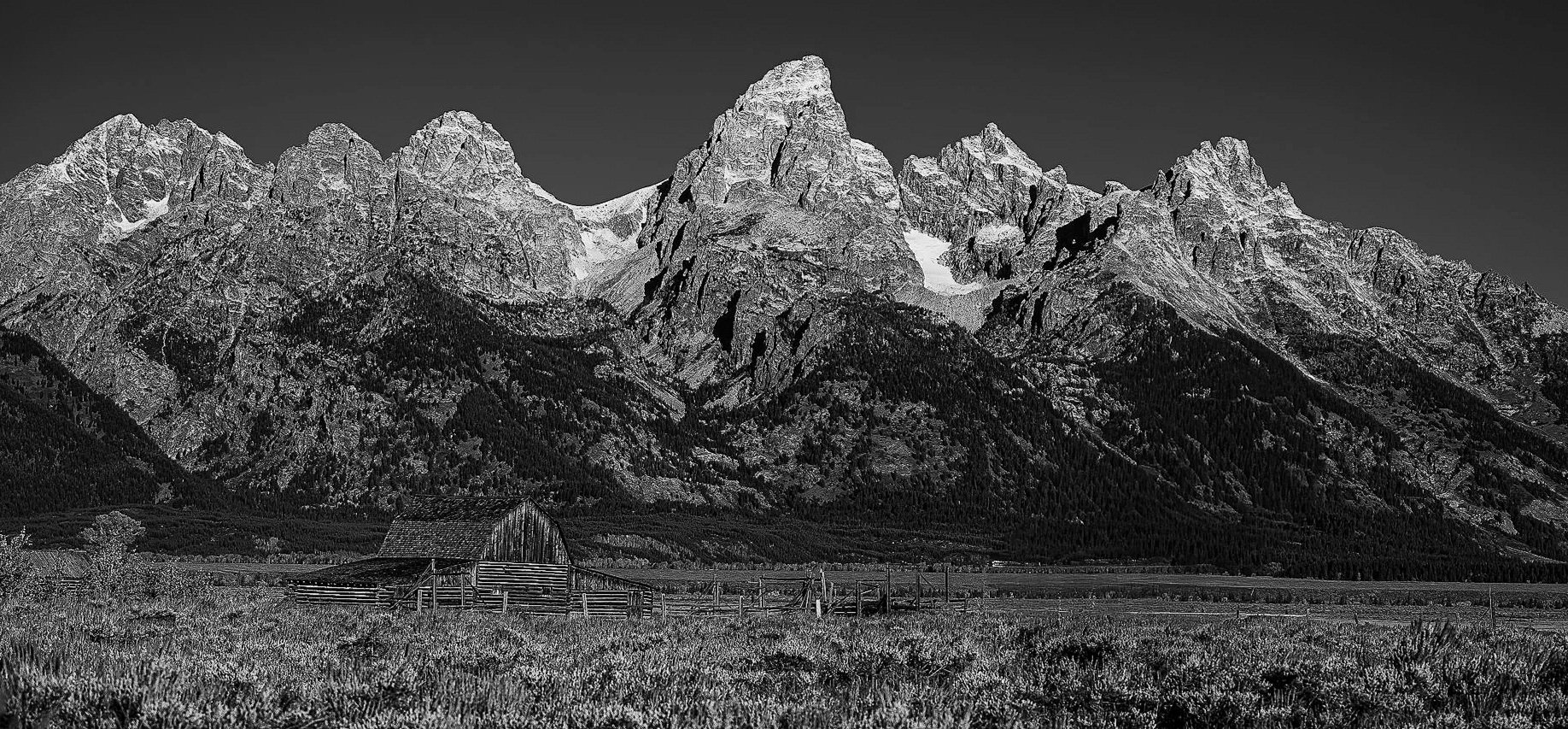 DSC_1850-2-1.jpg