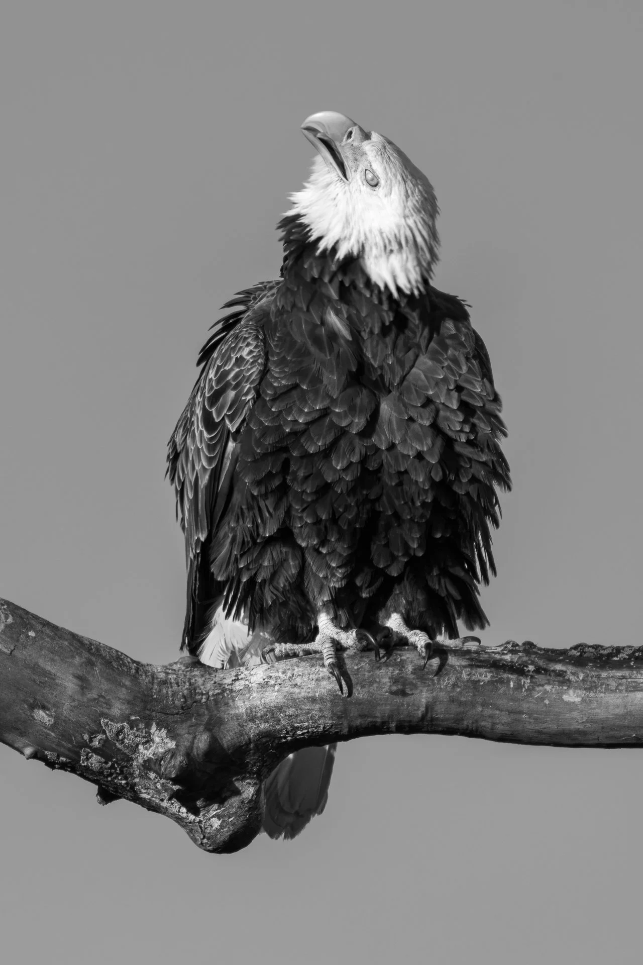 untitled-4029-2-2.jpg