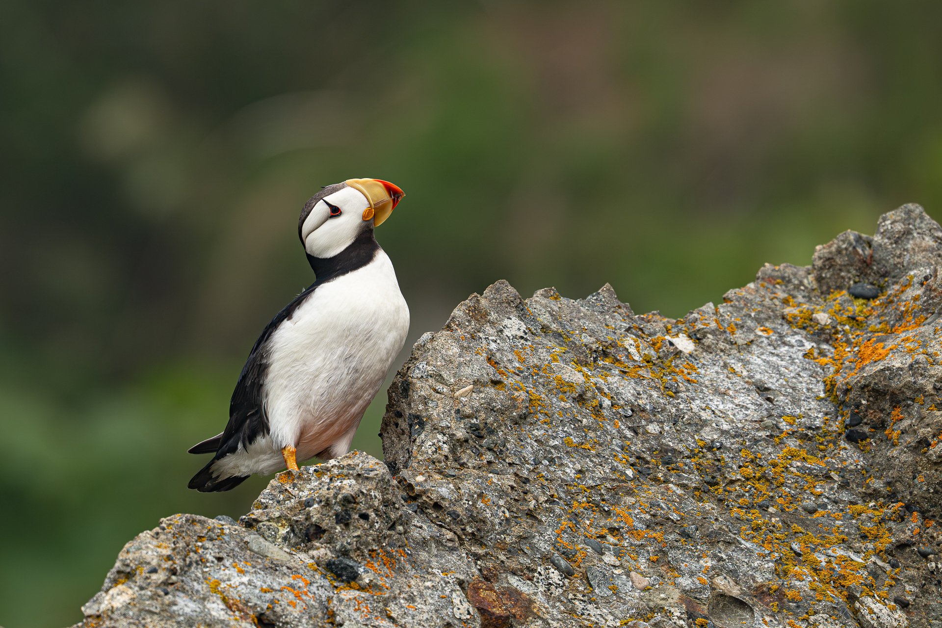 DSC_3492-2.jpg