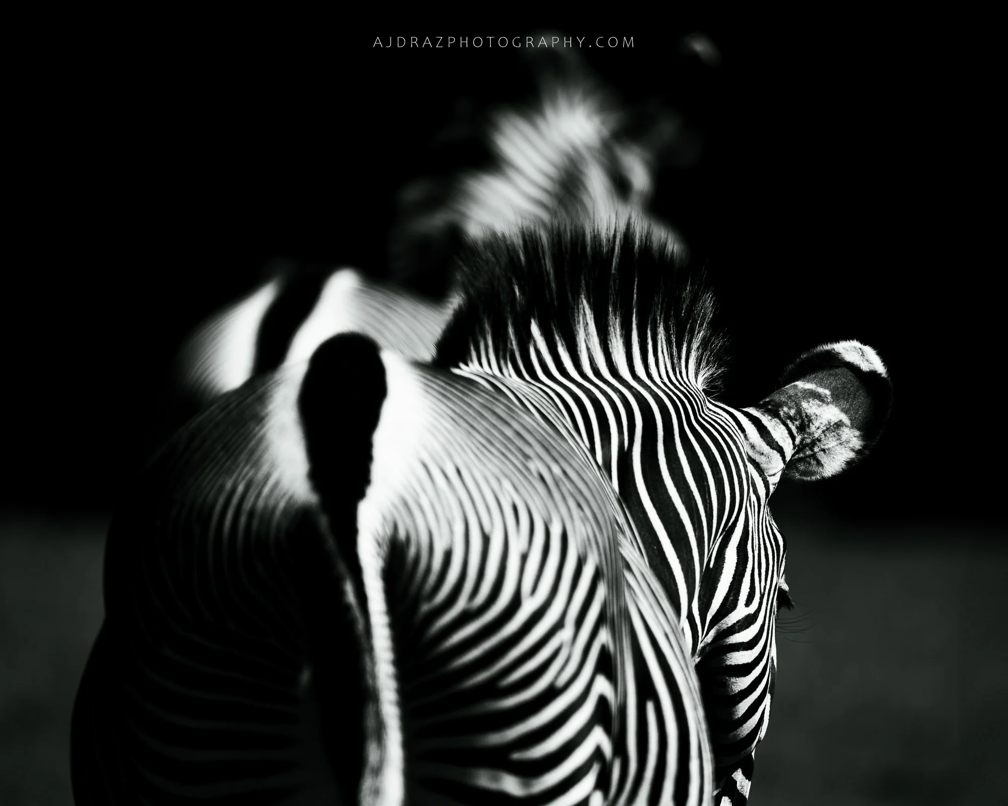 _DSC9366-1 - Copy.jpg