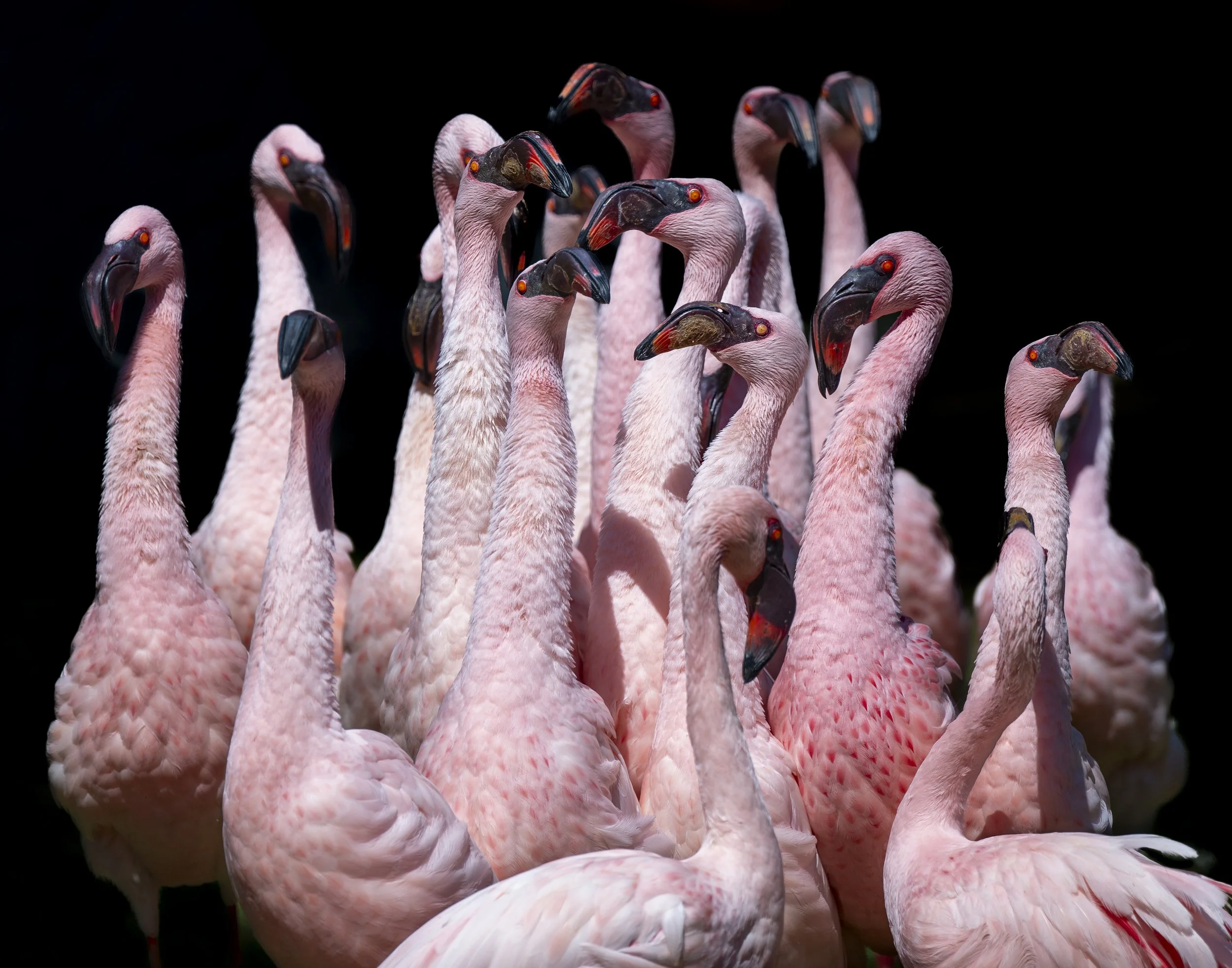 Jocelyn Nungaray NWR 4-4-2025 10-51_-10.jpg