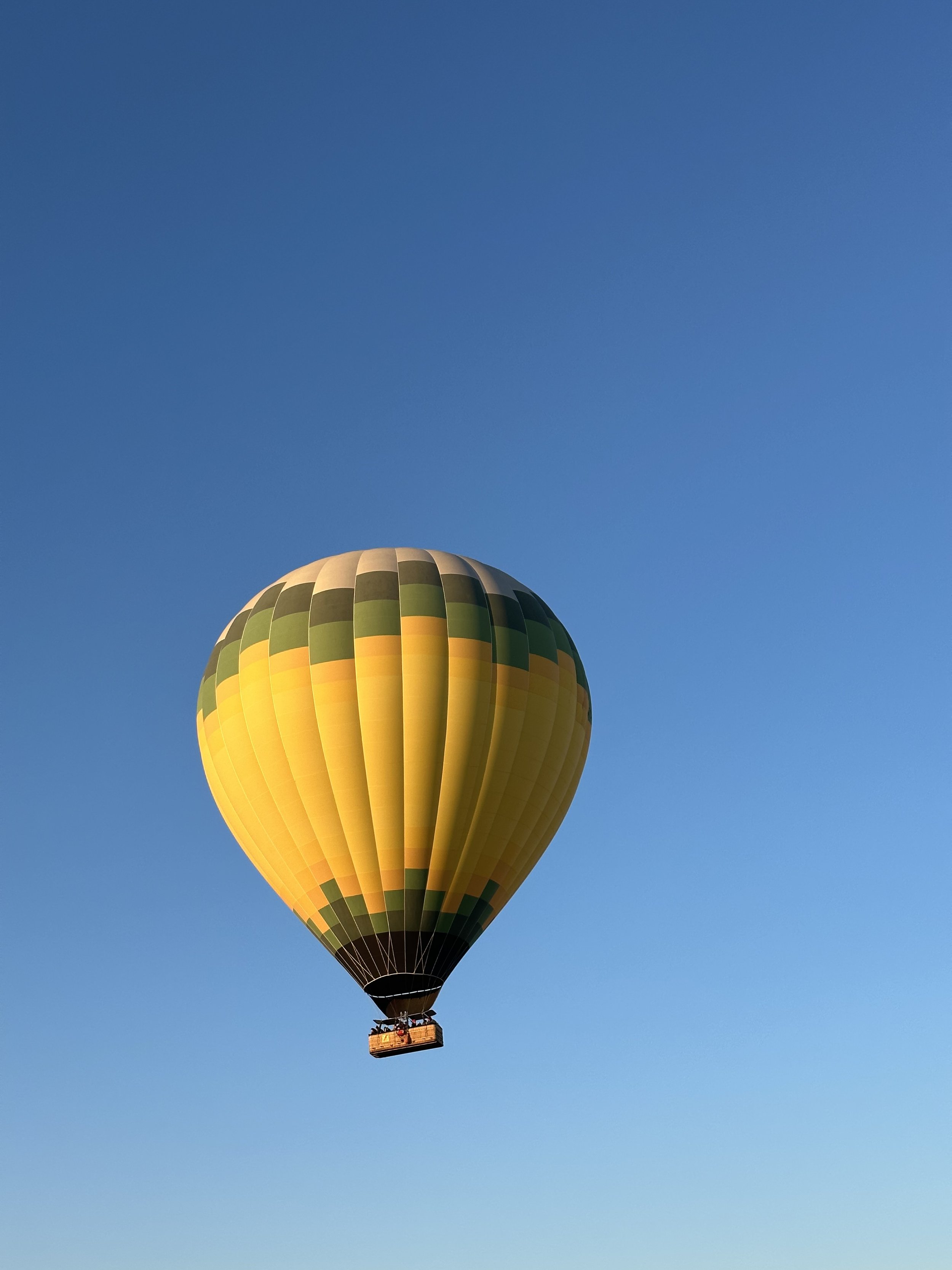 IMG_0541.jpeg