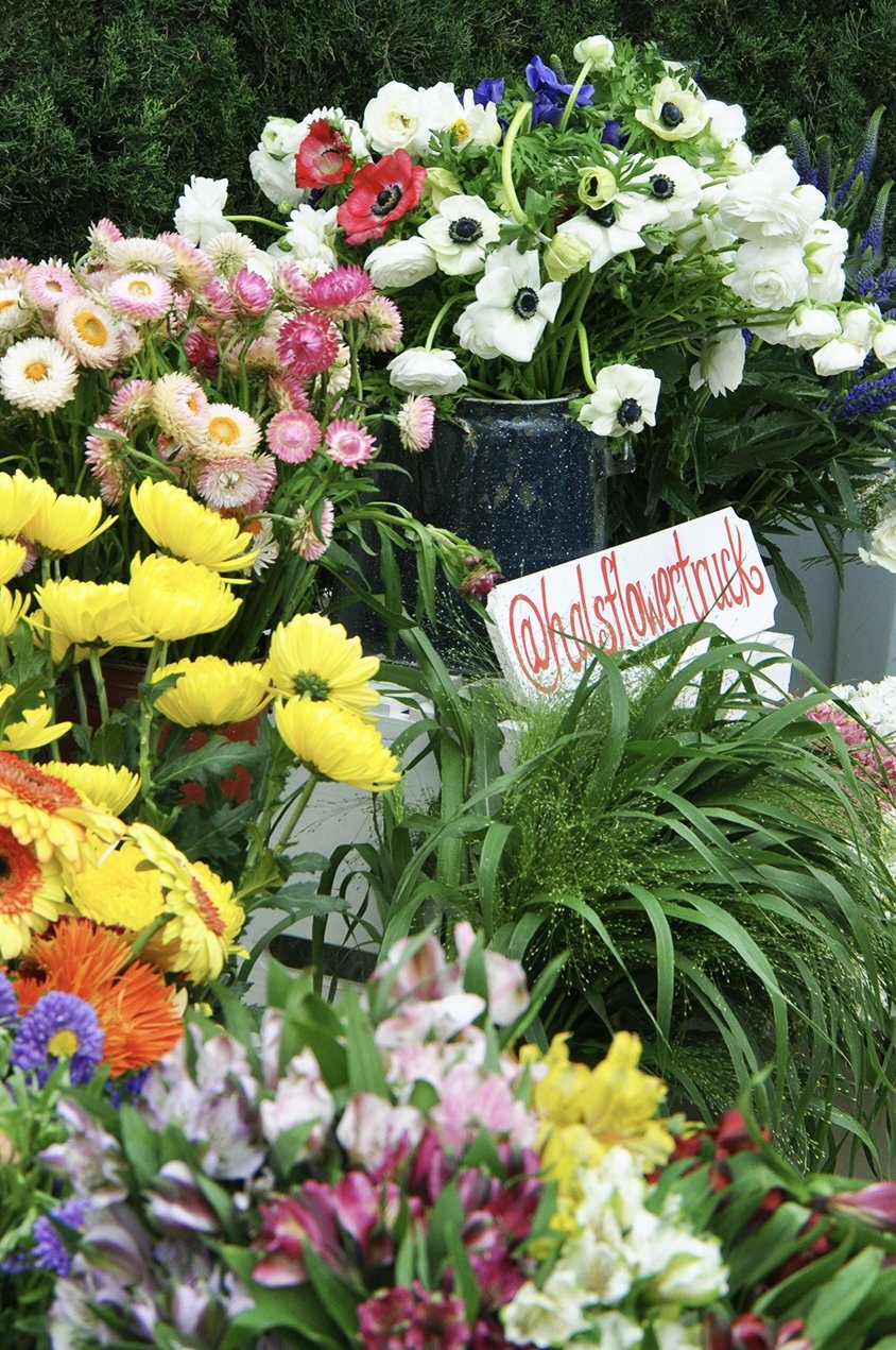 hals flower truck image 3.png