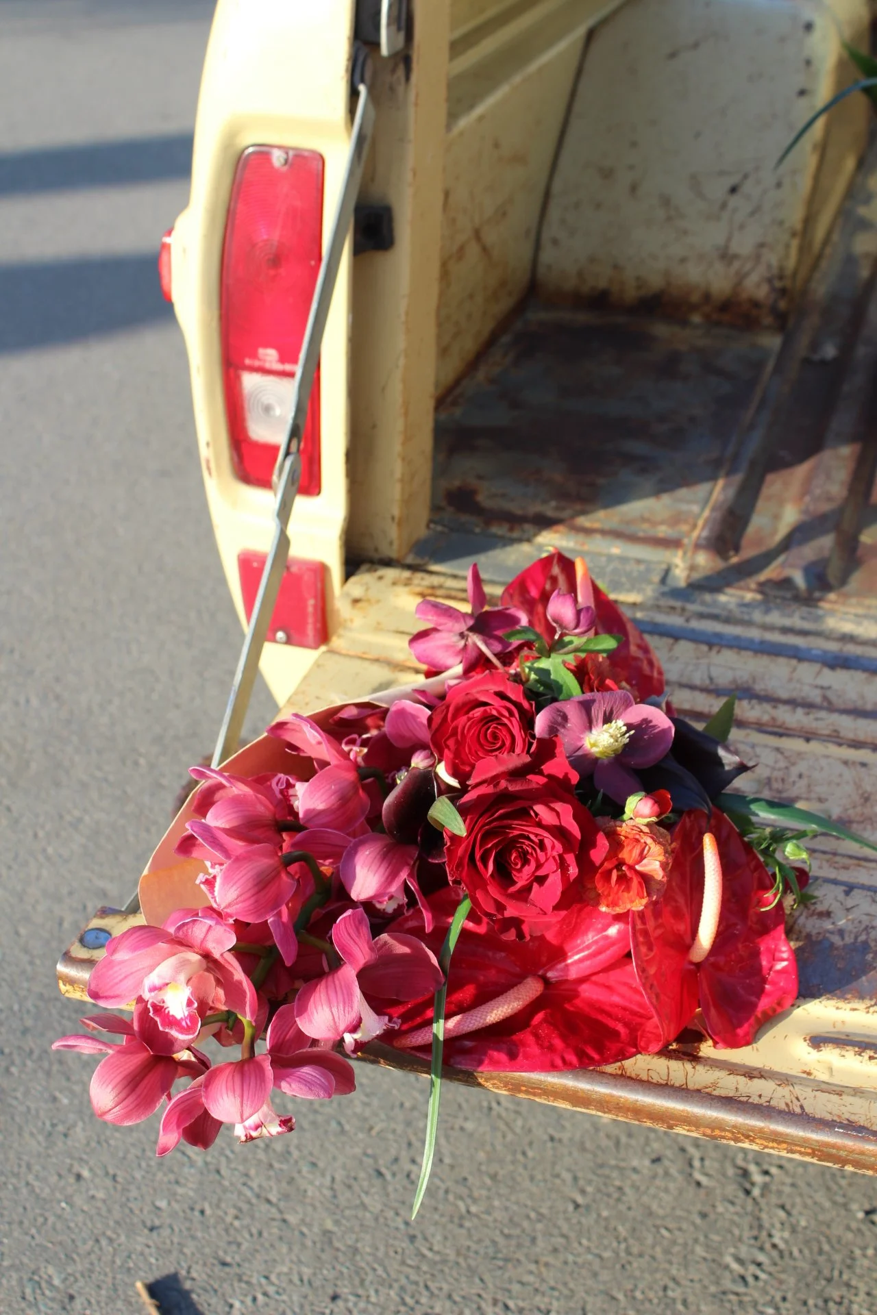 IMG_3456.JPG