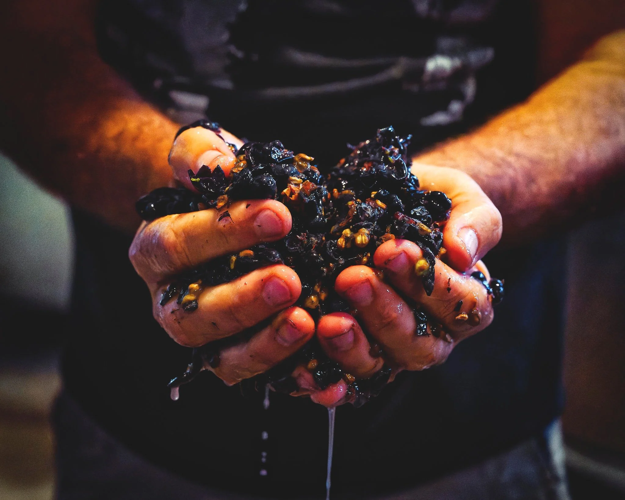 _NZ83576_Nik_DxO (edited).jpg