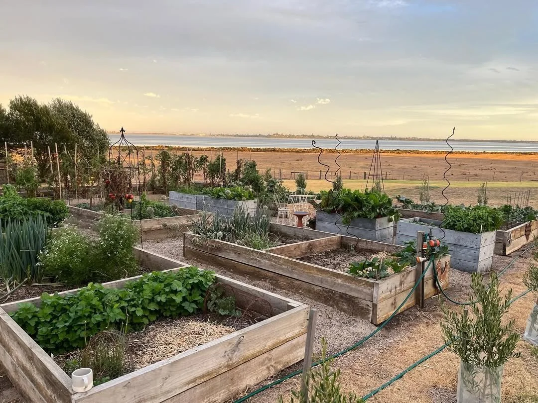 A Day in the Marthadale Kitchen | Thursday July 23rd | With Cath Claringbold