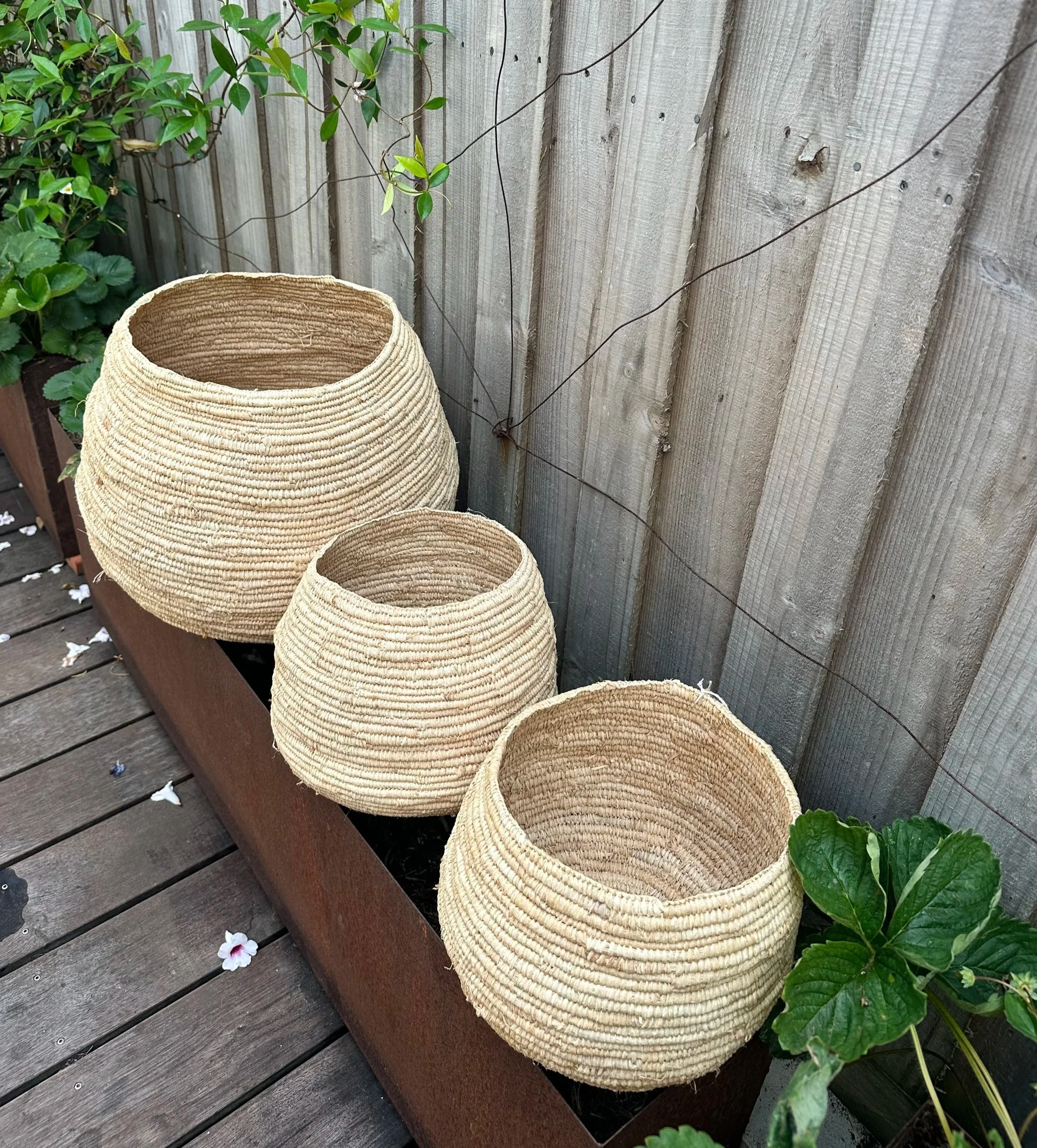 Basket Weaving | Thursday April 30 | With Merrin Cordner