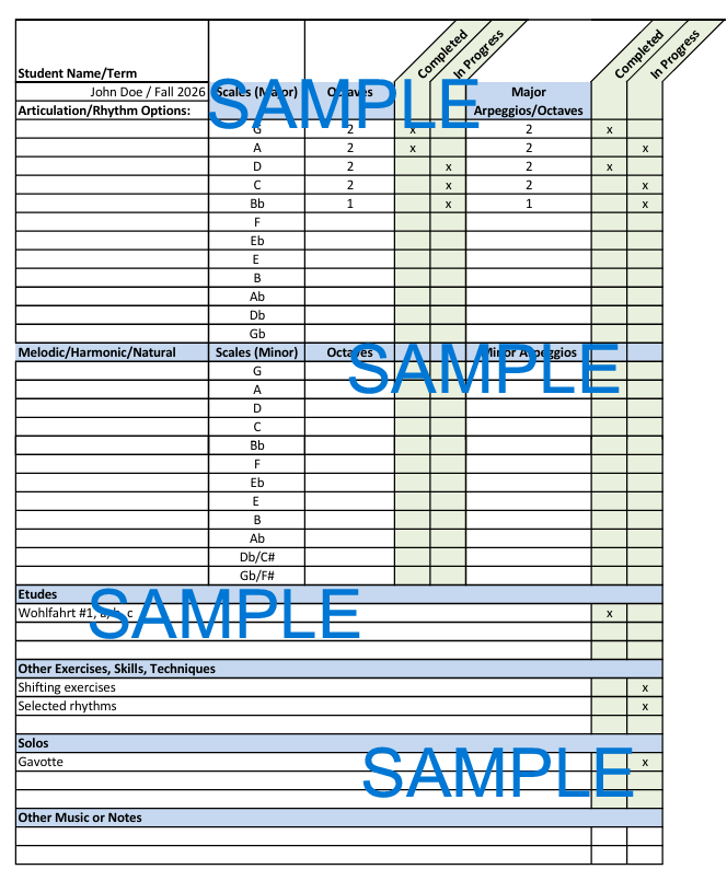 Individual Lesson Progress Sheet Sample Image.png