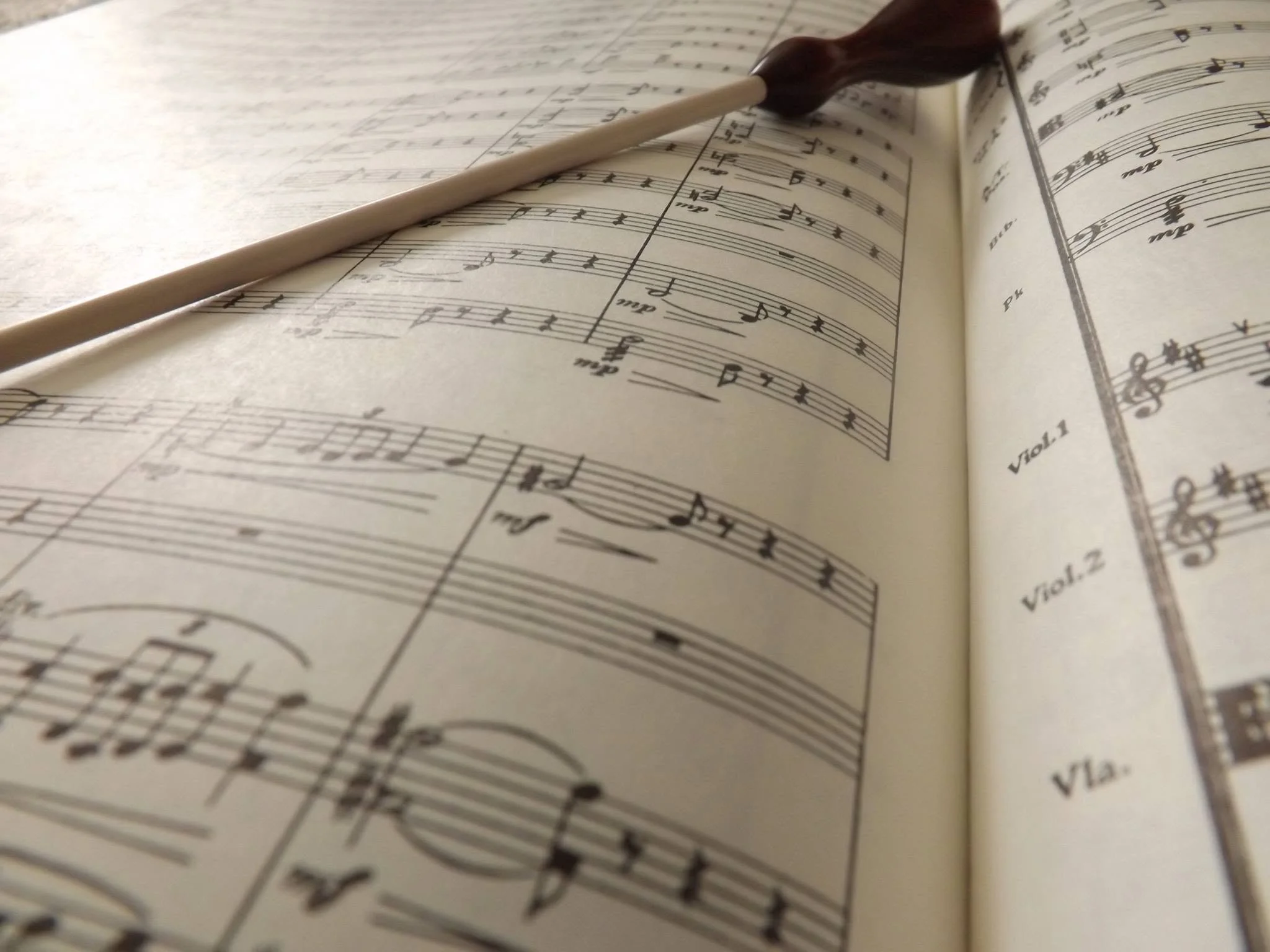 conductor baton with music.jpg