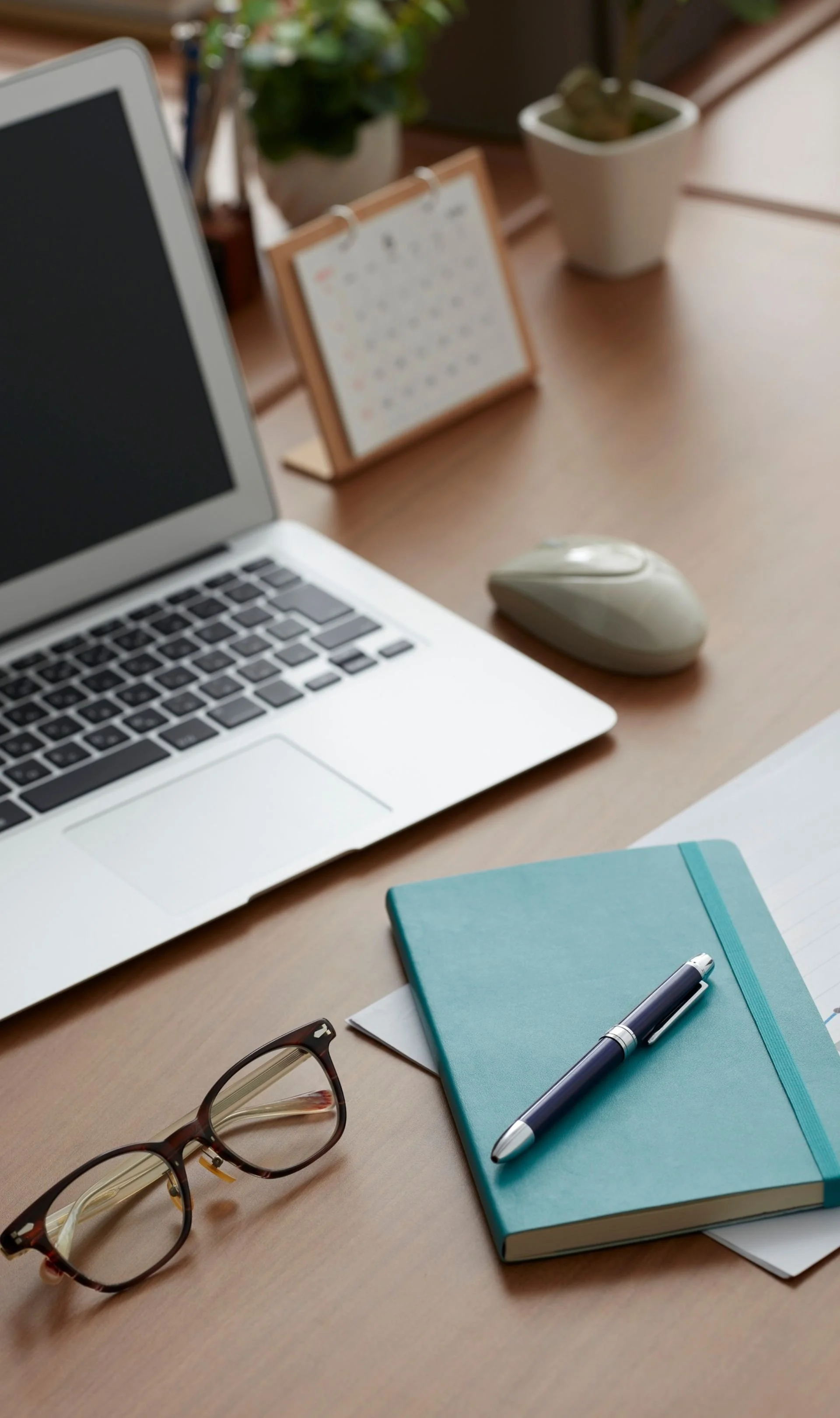 VIP Premium Consulting Program