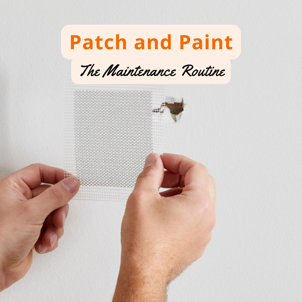 Patch and Paint