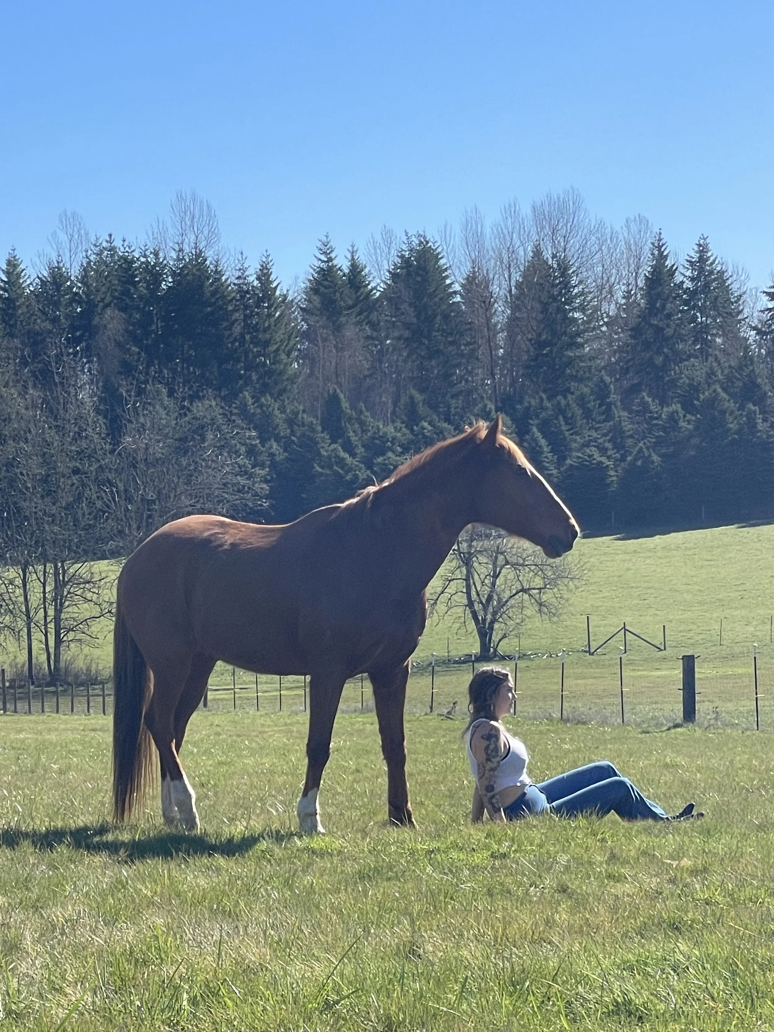 Women’s wellness days