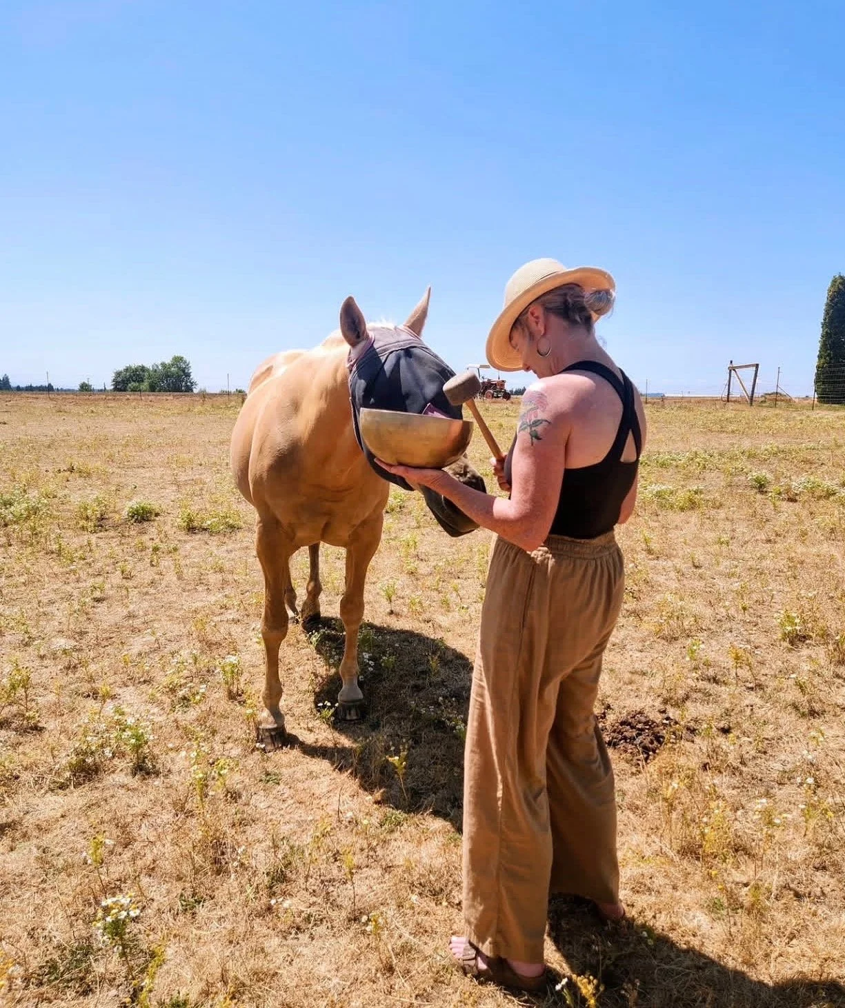Mane Connection – In the Field