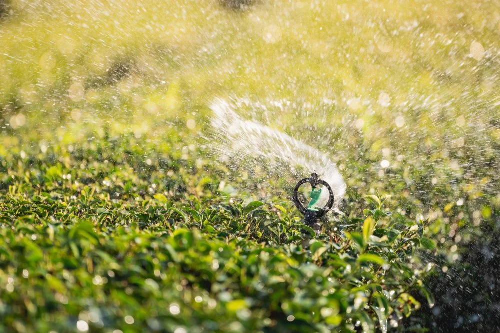 How to Start a Sprinkler System After Winter Safely?