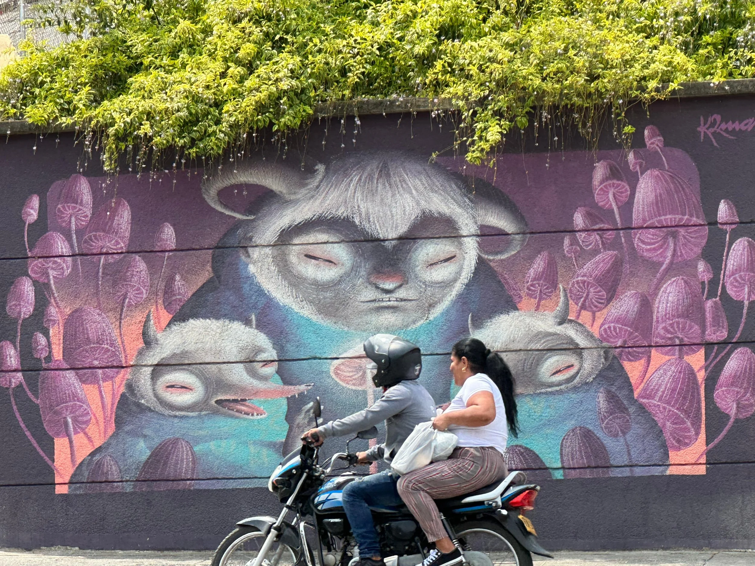 Beyond the Journey: Why Integration is the Missing Key in Transformational Travel