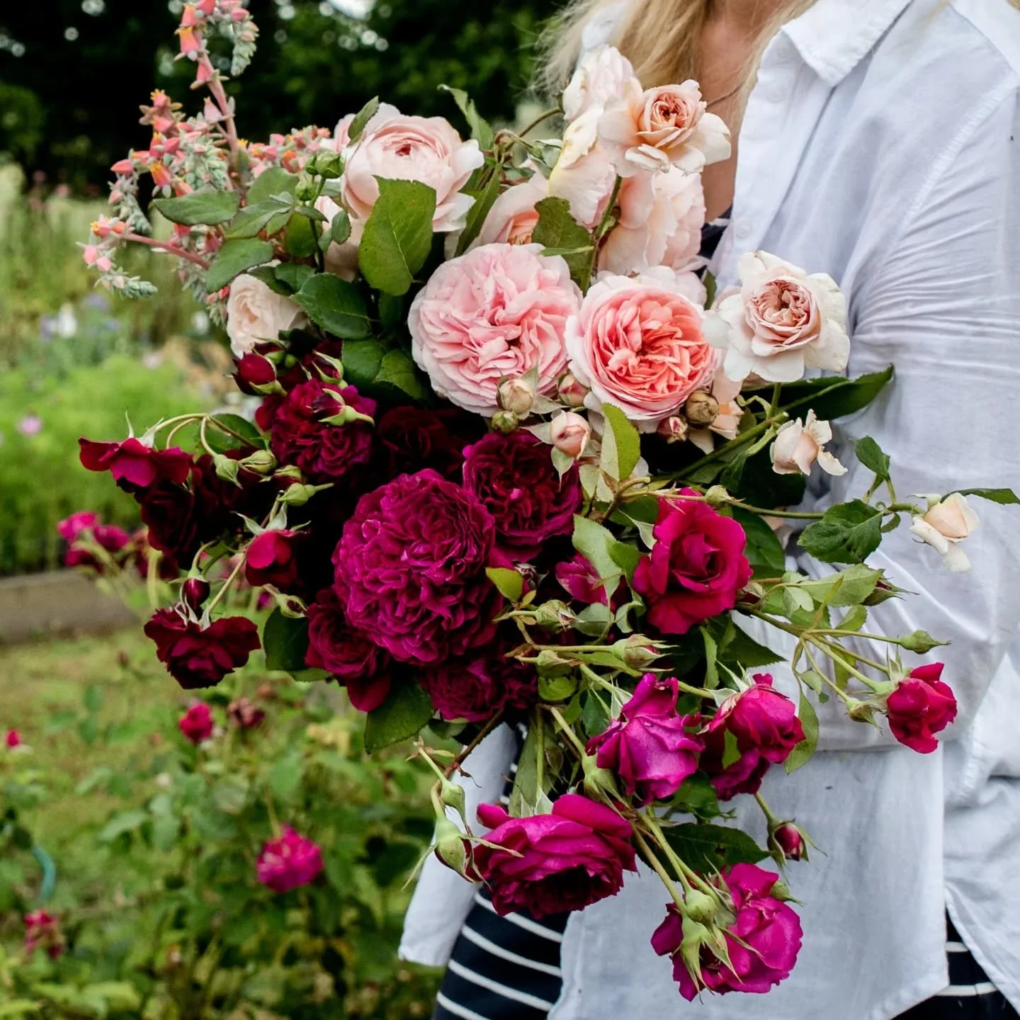 We are in the thick of our winter rose prune, setting the stage for hundreds of homegrown blooms come Spring. 
Growing some of our own flowers is more than a design choice. It's part of our commitment to thouhtful floristry. Local, Seasonal, Artistic