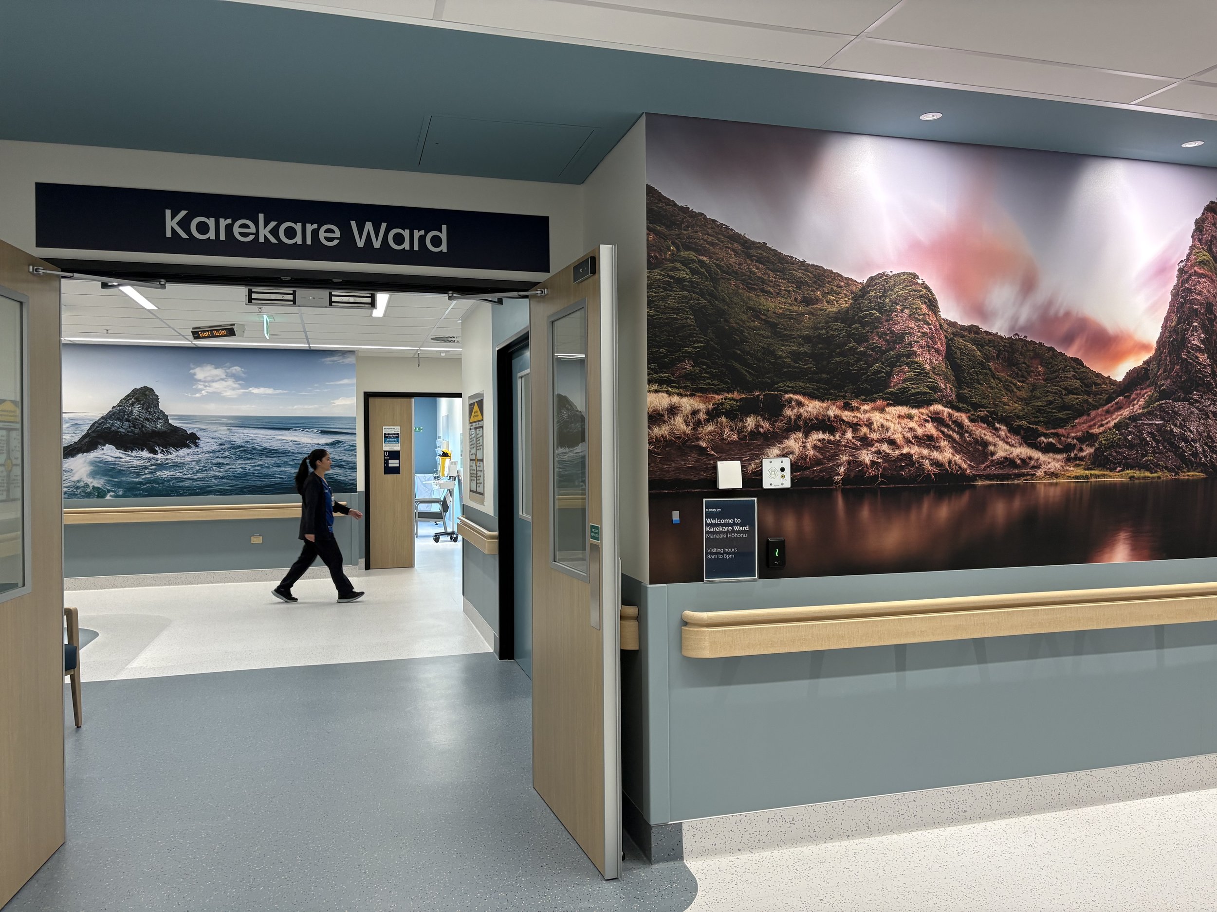 Karekare Ward_Manaaki Hōhonu_looking into the ward.jpeg