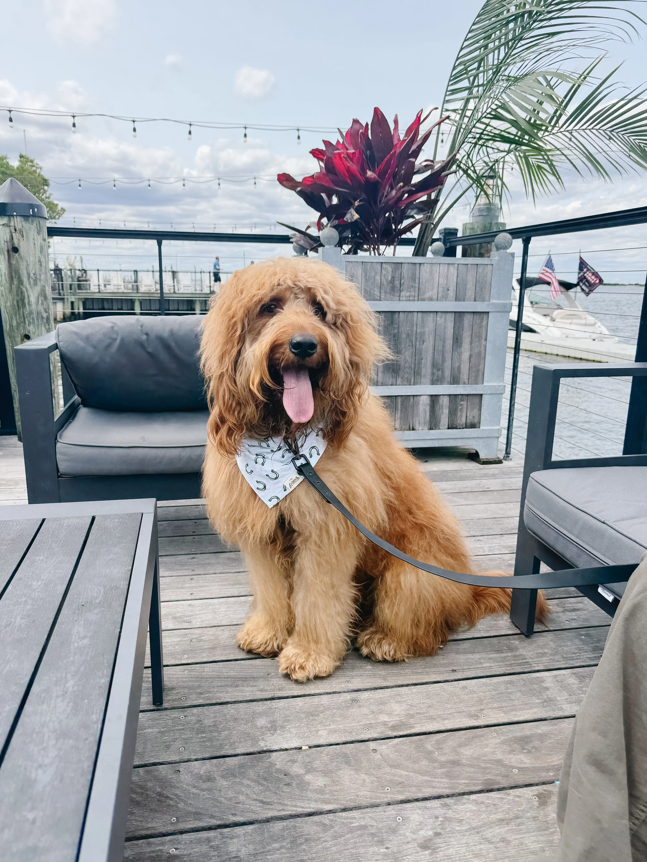 IMG_8988 - SarahWalz.jpeg