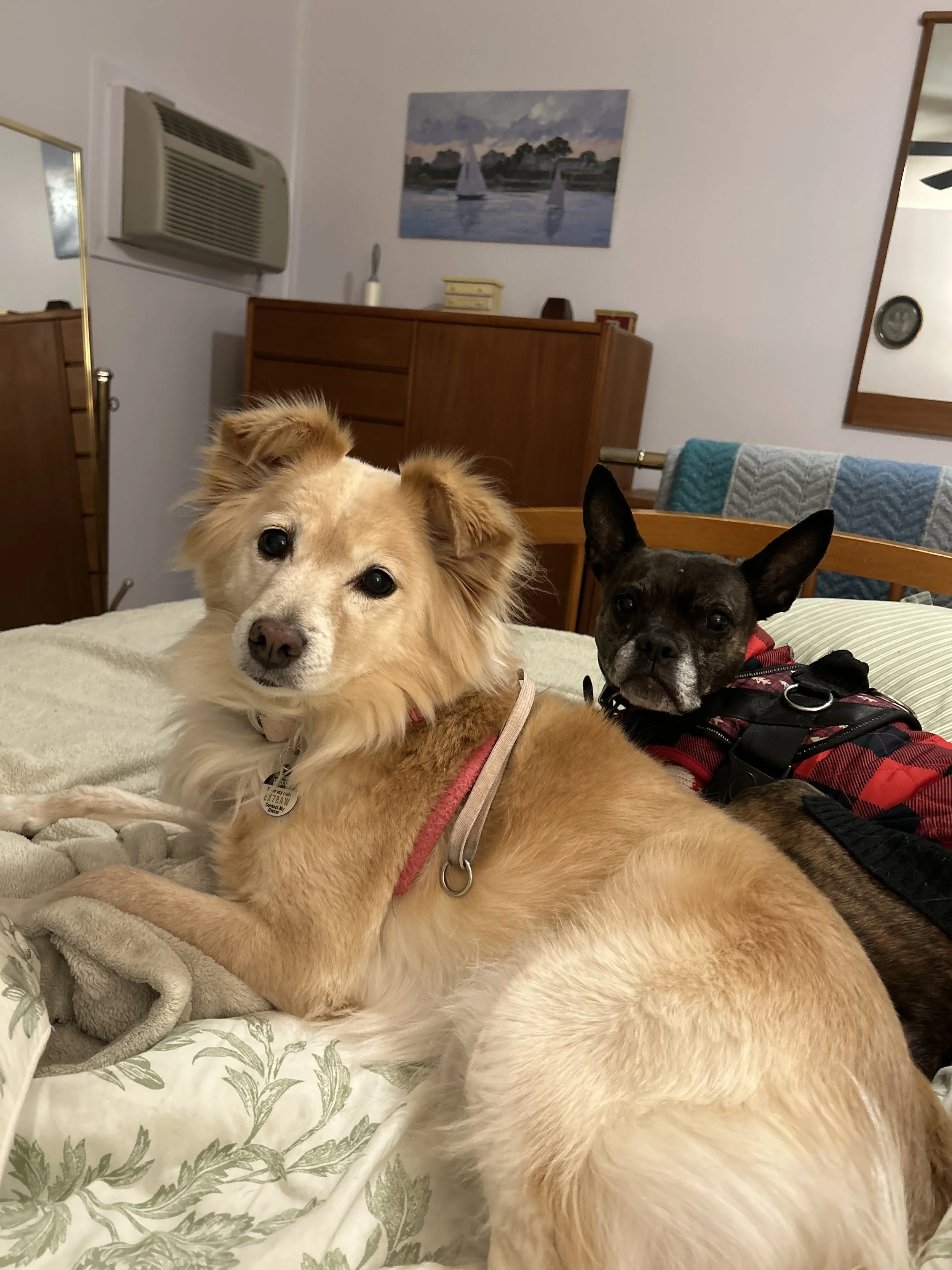 IMG_1230 - Arlene Newman.jpeg