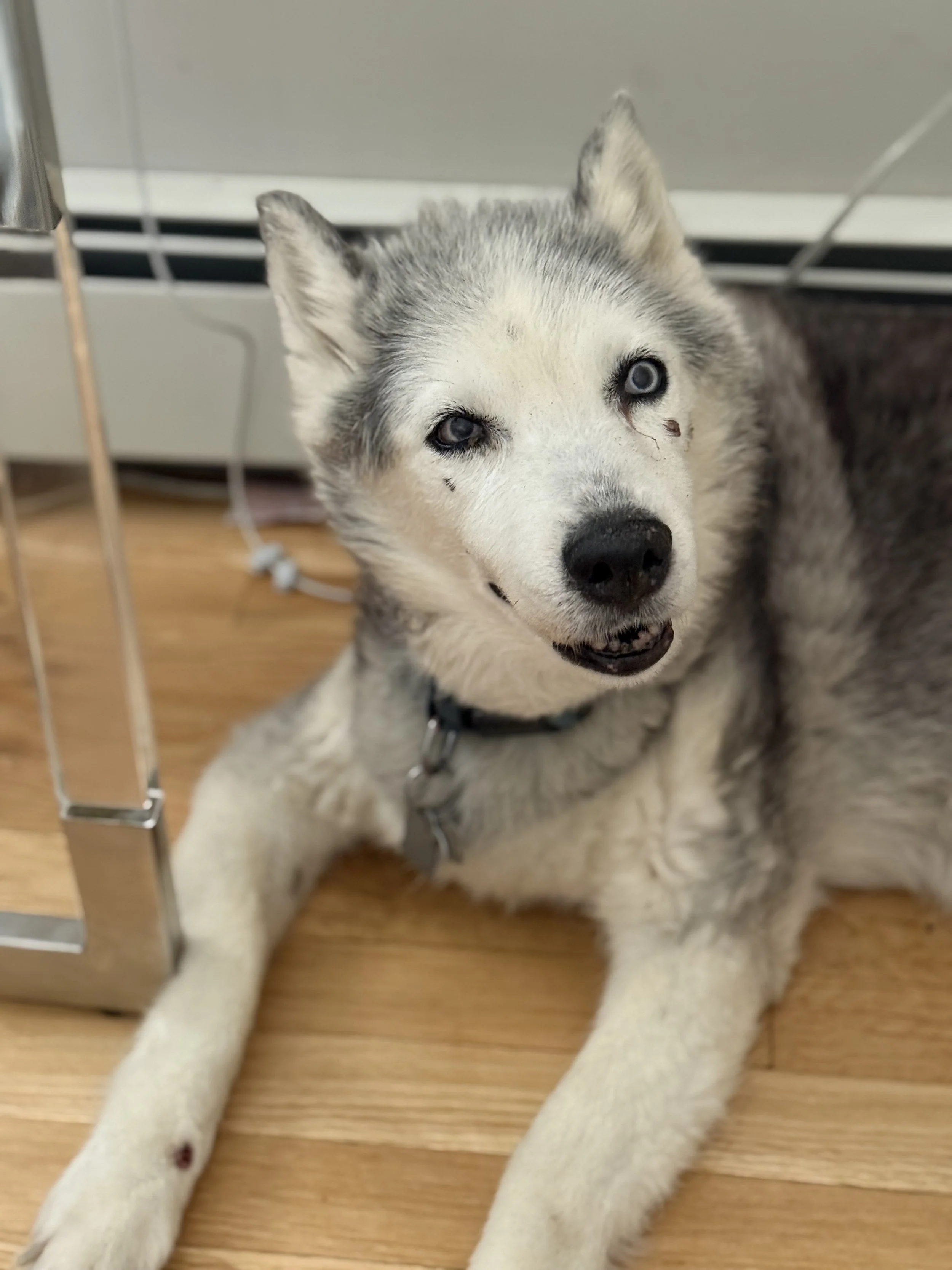 IMG_2895 - Noreen O'Connor.jpeg