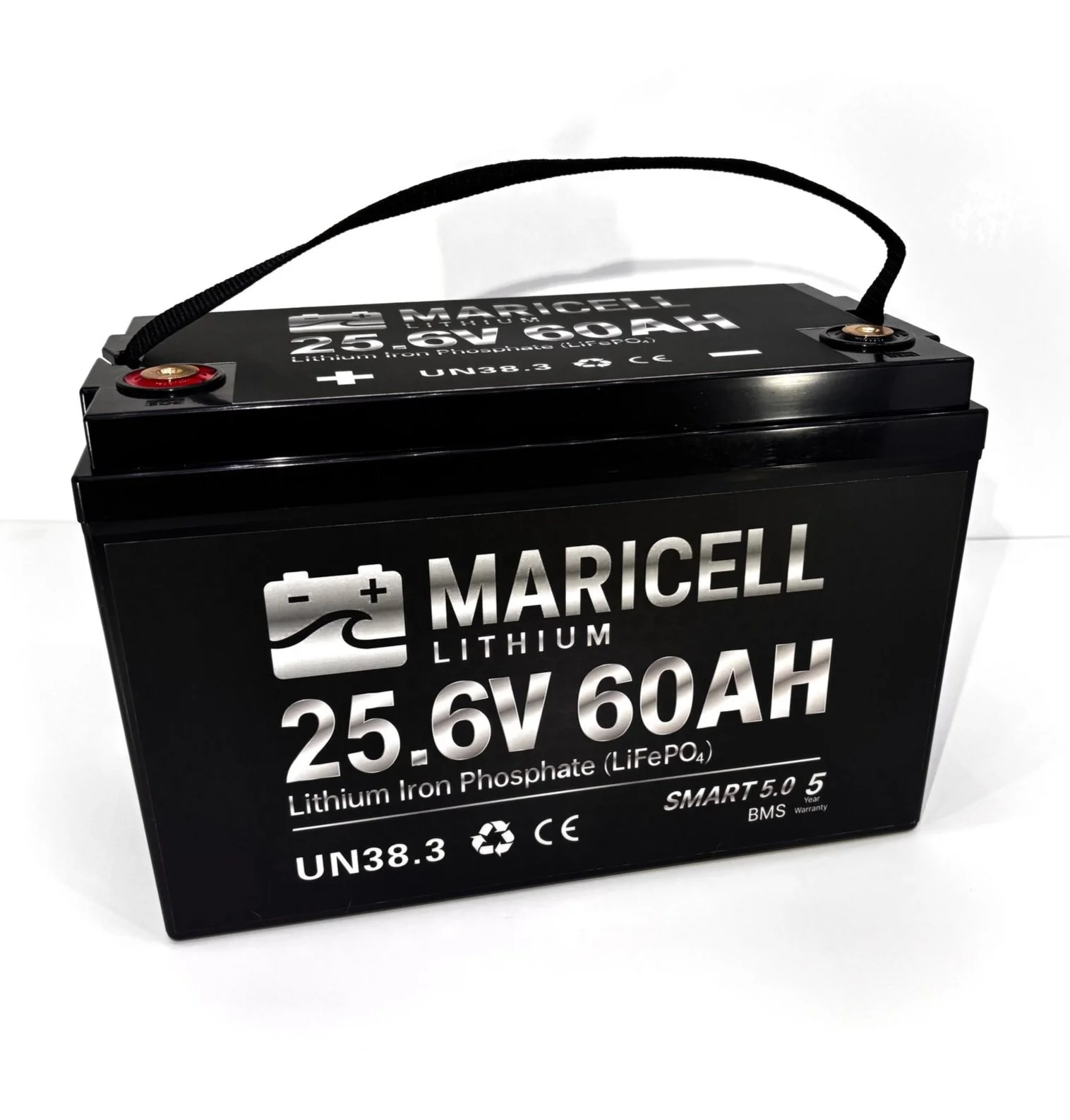 24v trolling motor battery. 25.6v 60ah. bluetooth. group31