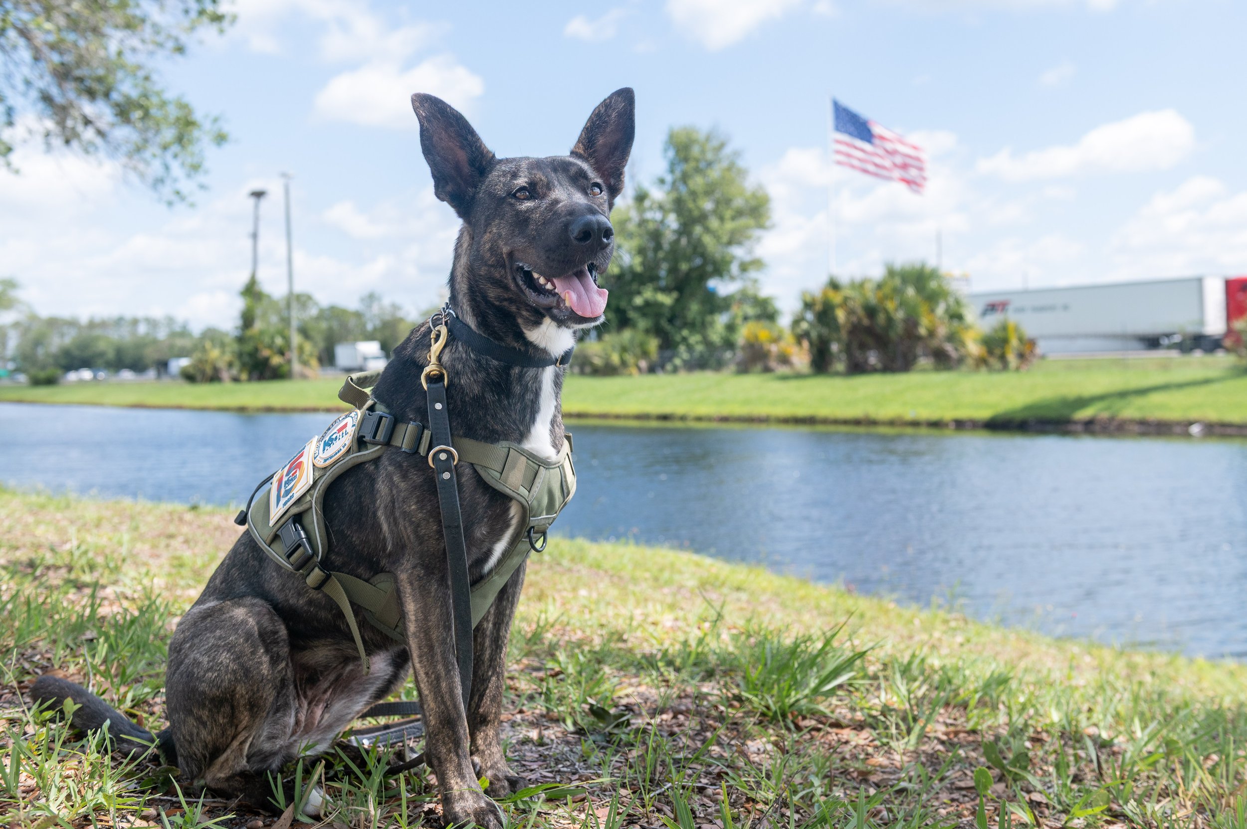 K9FW_260623_personal_5337.jpg