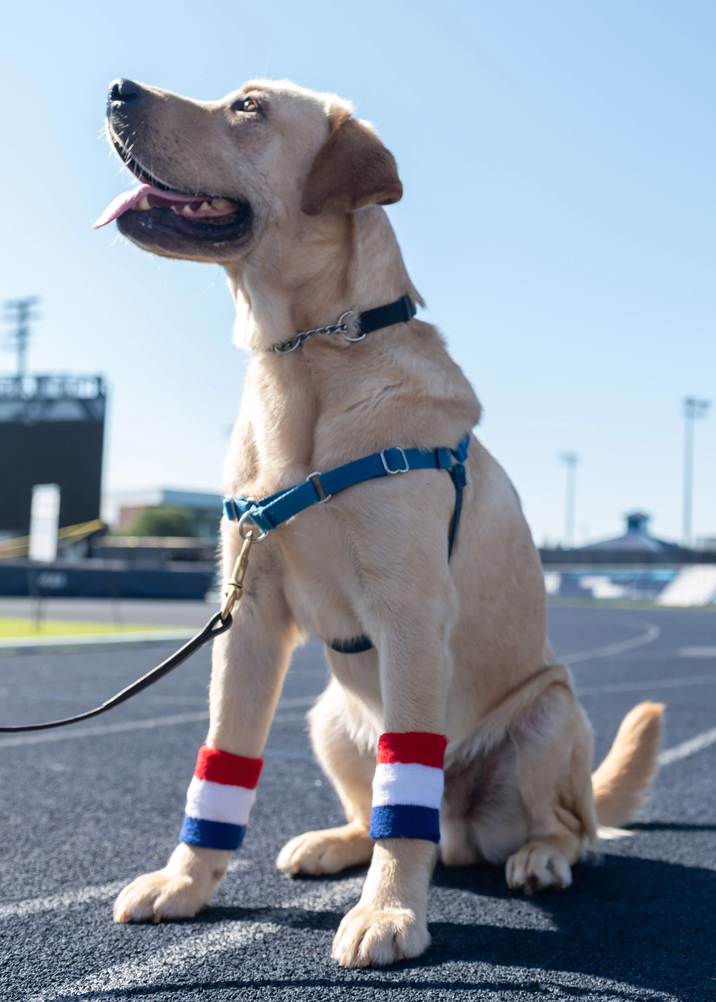K9FW_260624_personal_5457.jpg