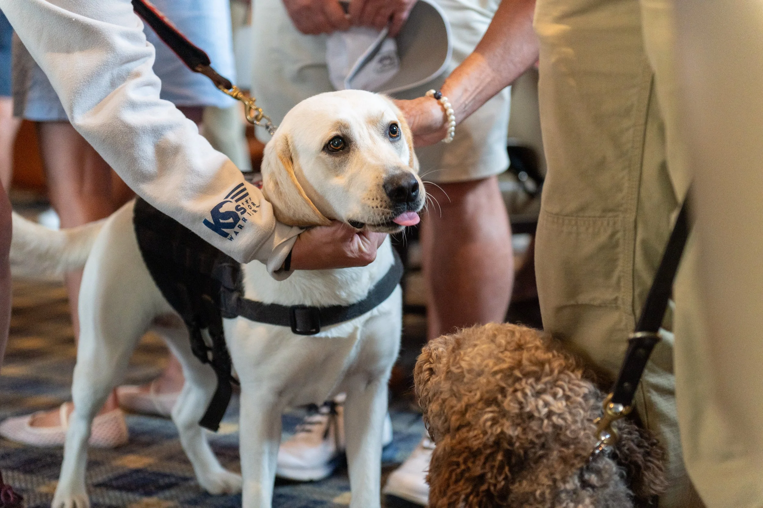 K9FW_260728_personal_4072.jpg