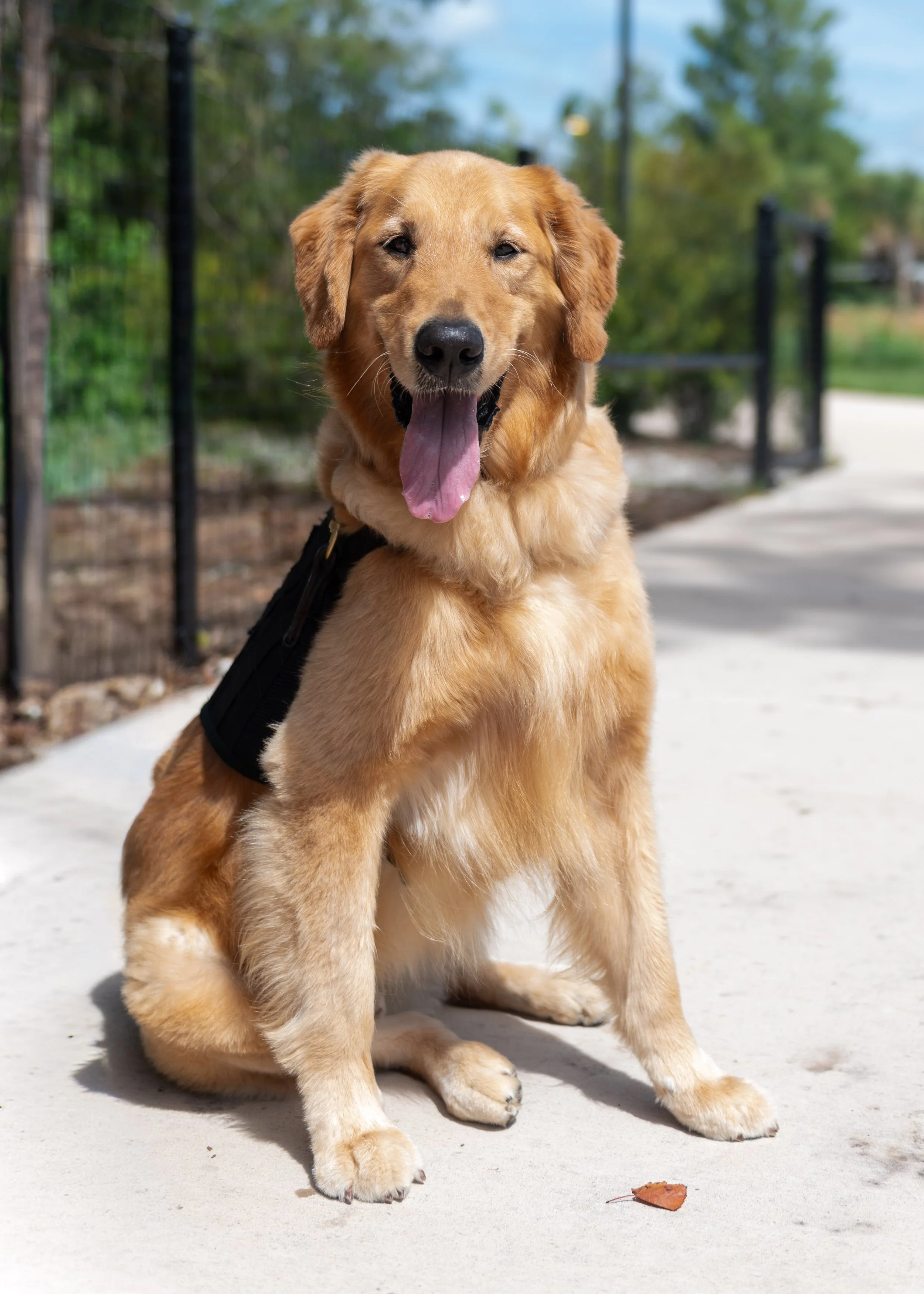 K9FW_260715_personal_0806.jpg