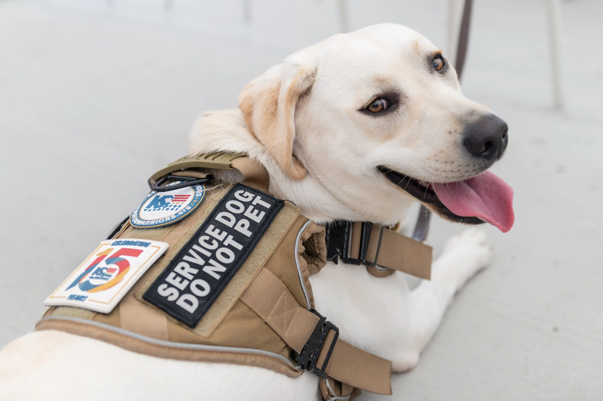 K9FW_260715_personal_1044.jpg