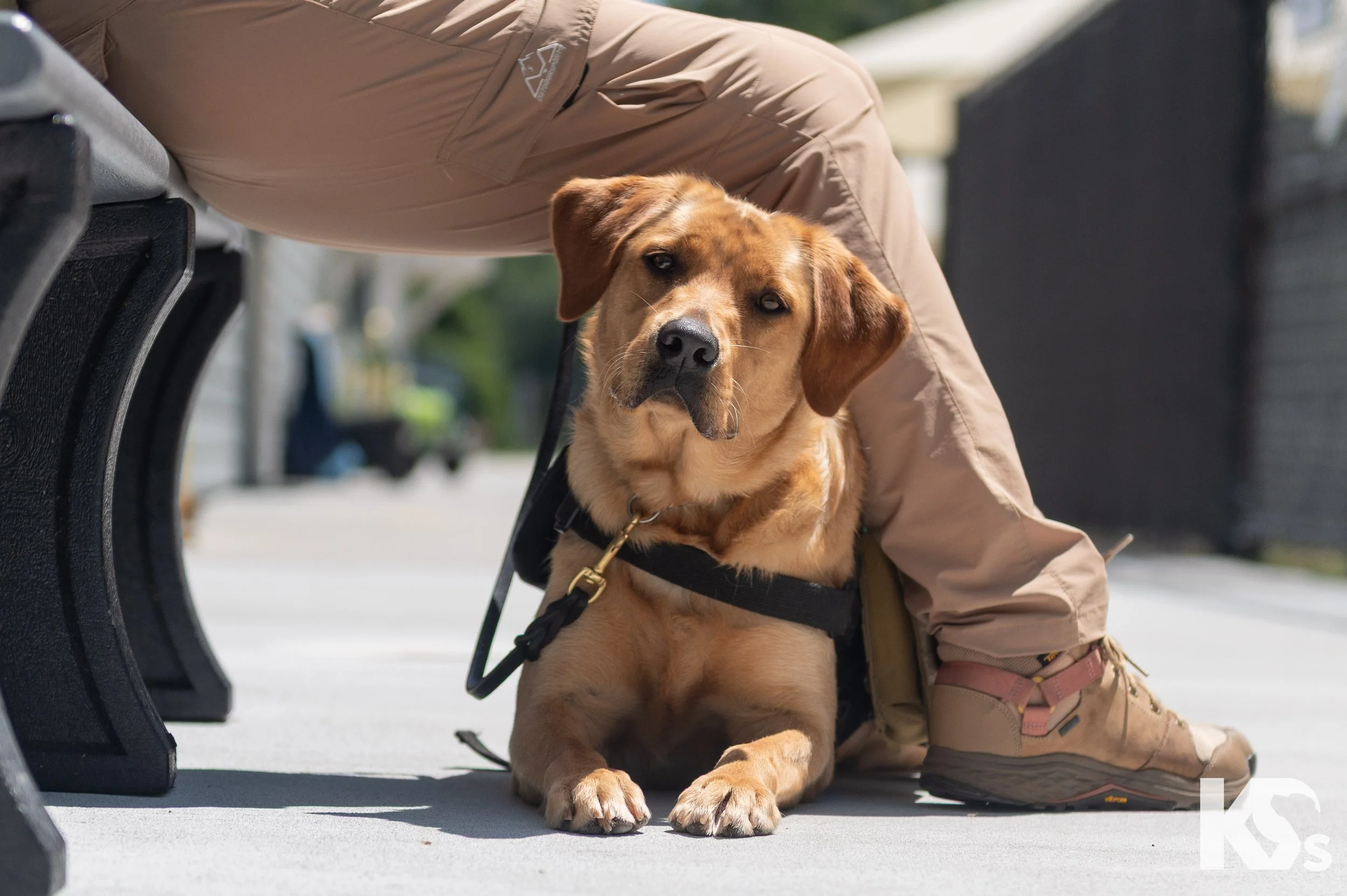 K9FW_260629_Storm_6766.jpg