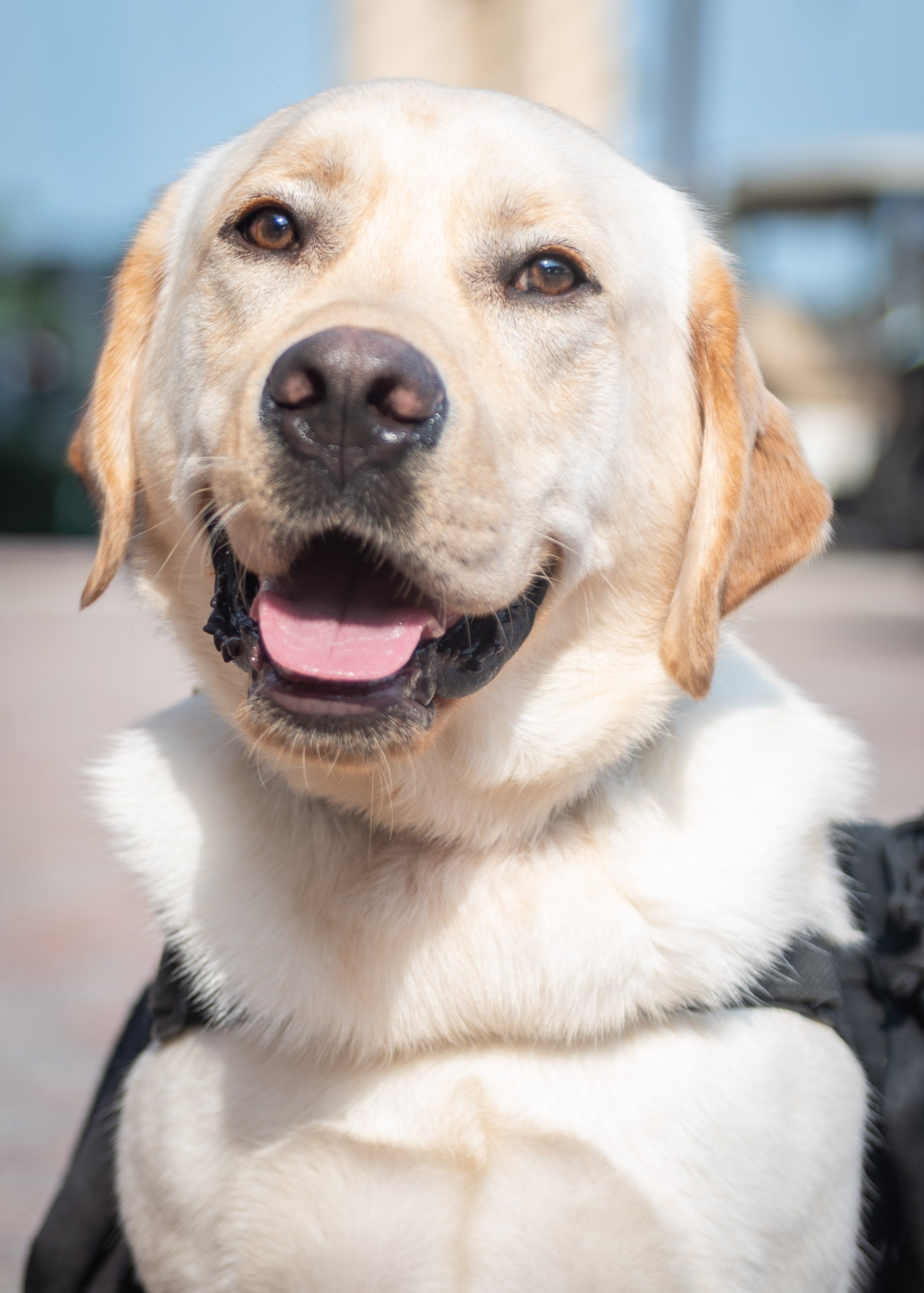 K9FW_260728_personal_3741.jpg
