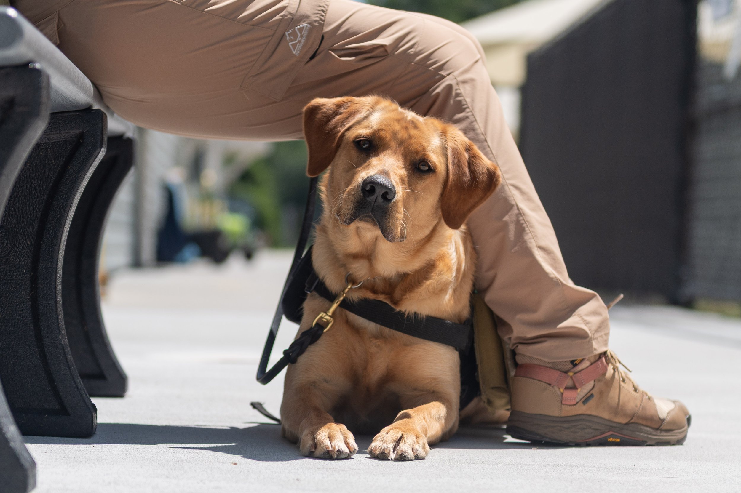 K9FW_260629_personal_6766.jpg