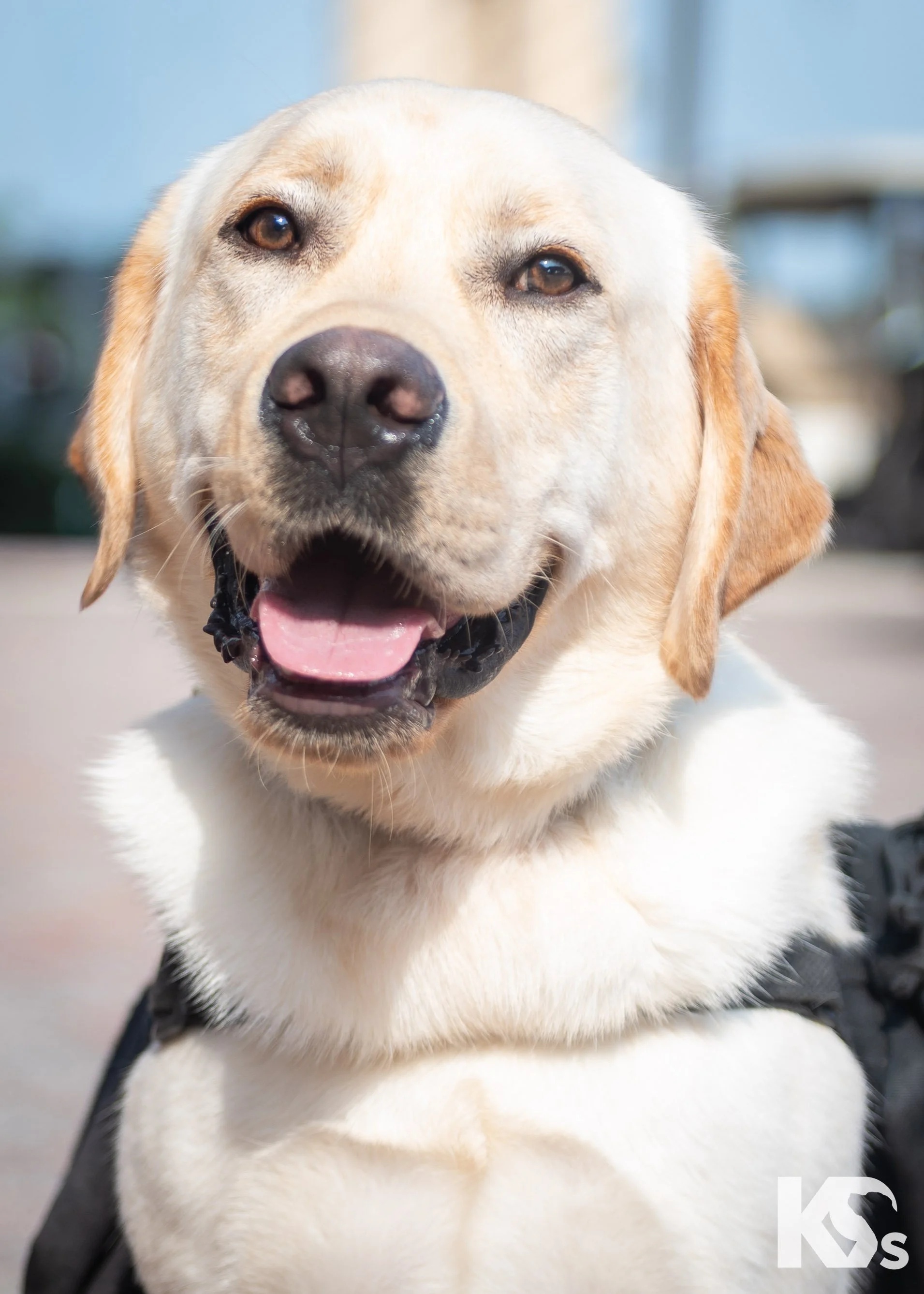 K9FW_260728_Sophie_3741.jpg