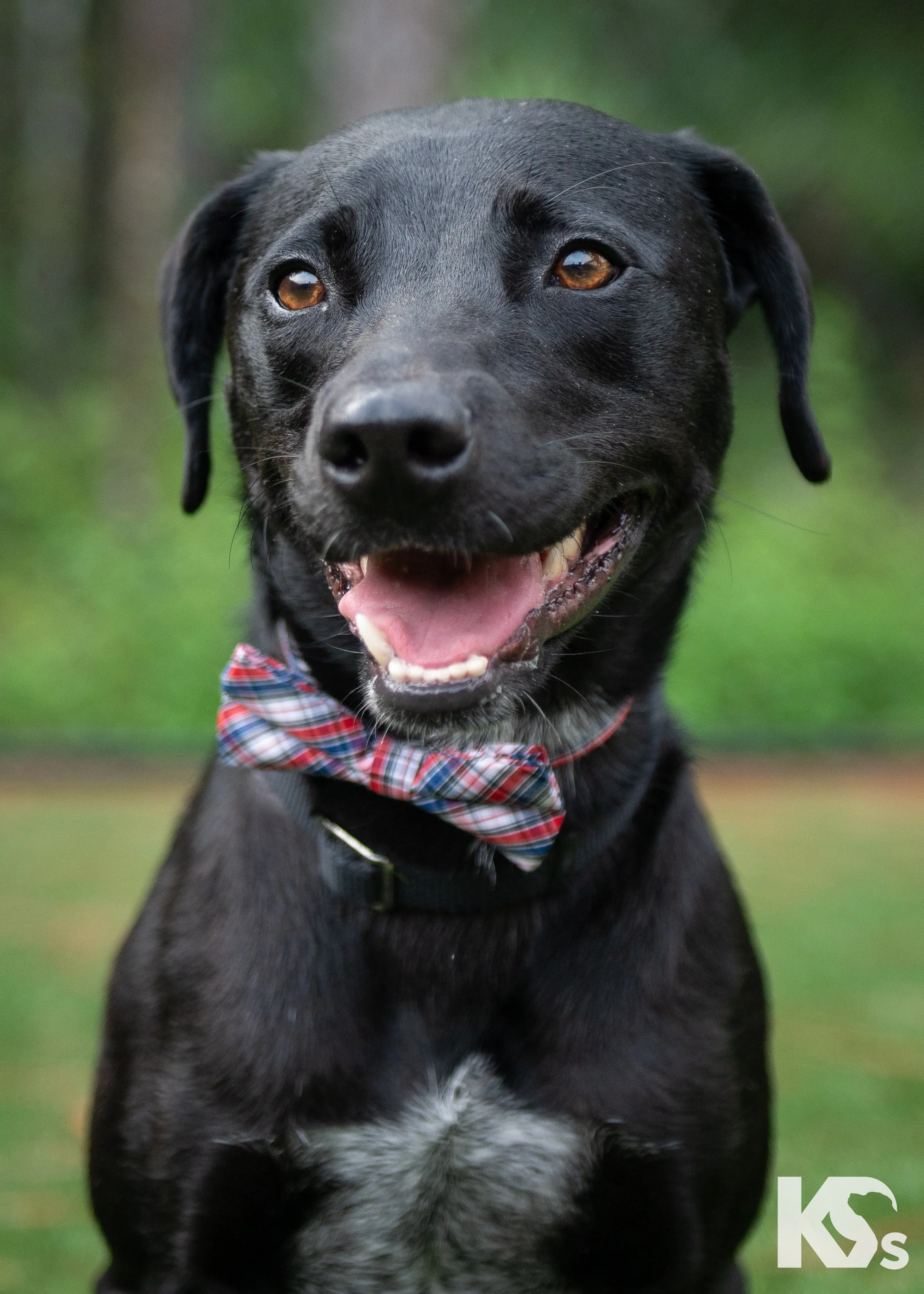 K9FW_260729_Lou_4648.jpg