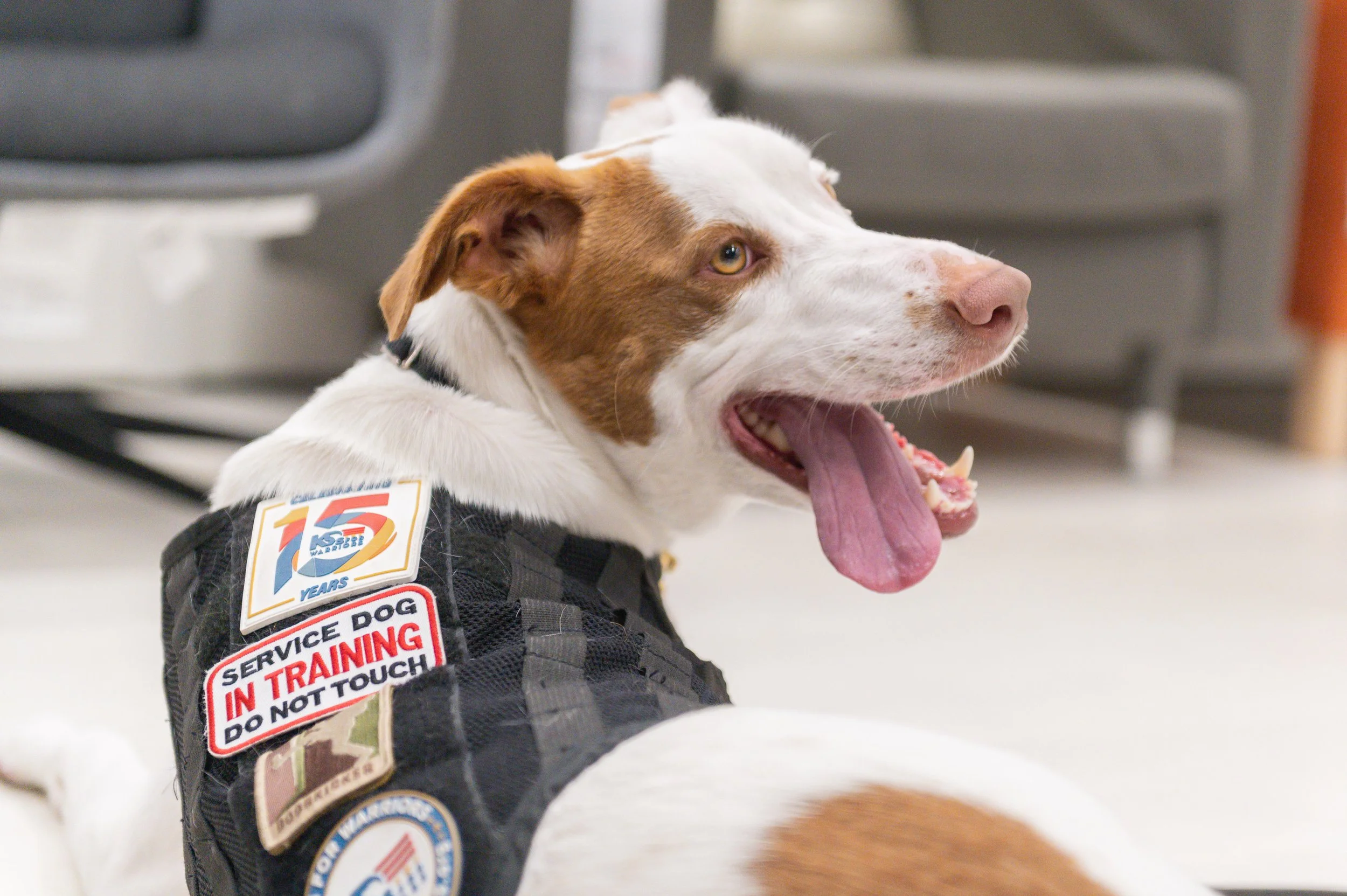 K9FW_260616_personal_4723.jpg