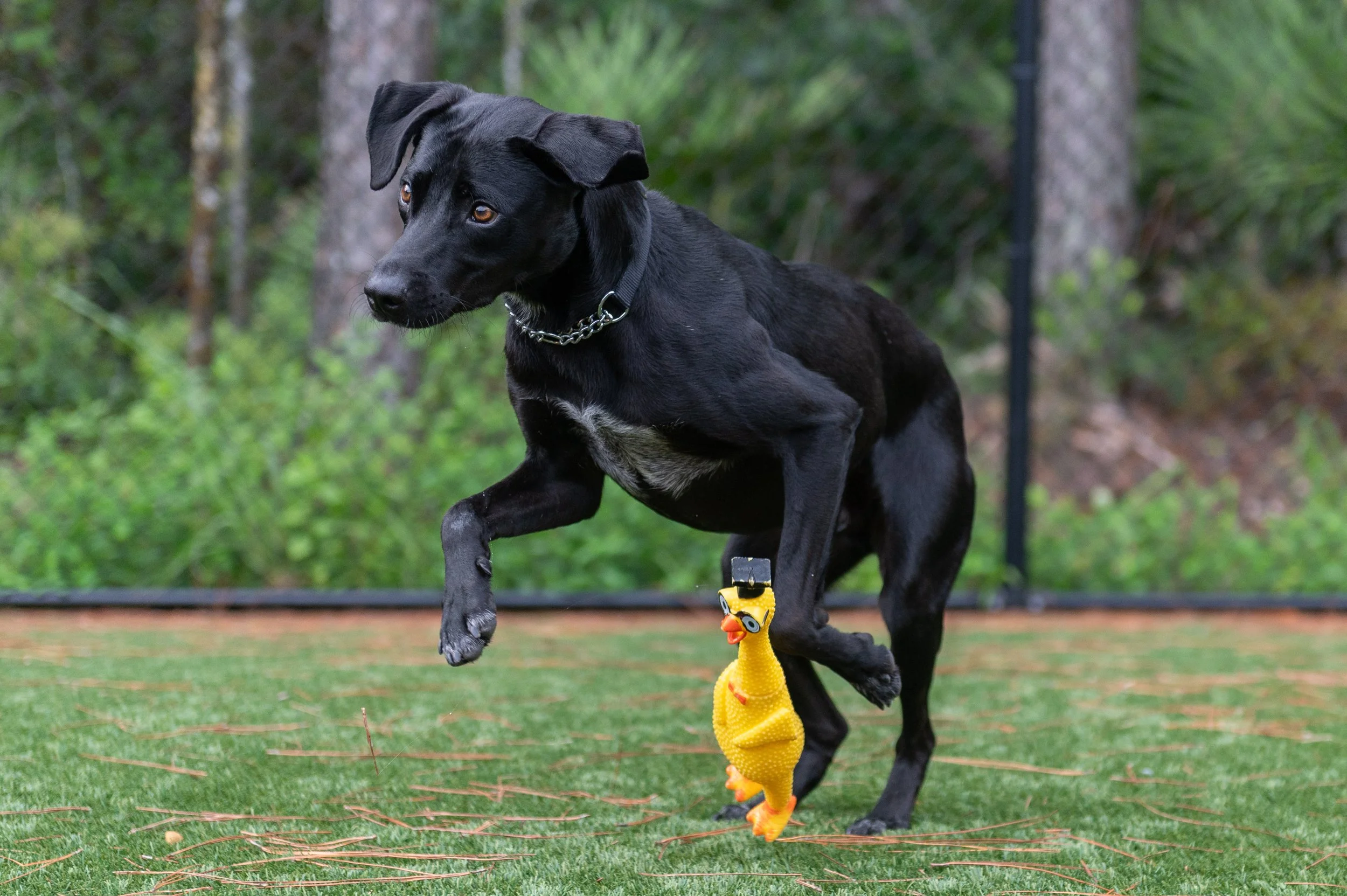 K9FW_260729_personal_4603.jpg