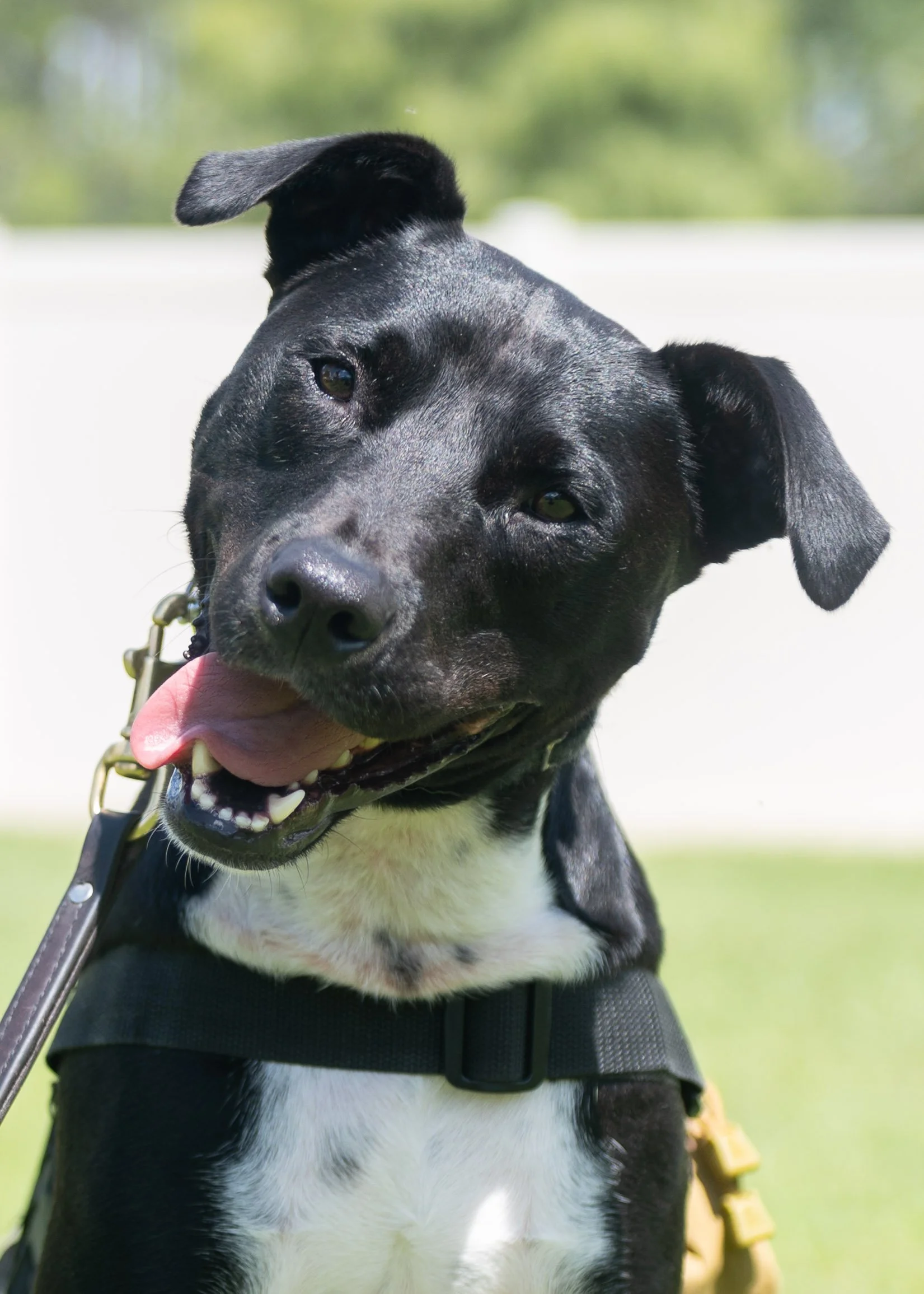 K9FW_260720_personal_1619.jpg
