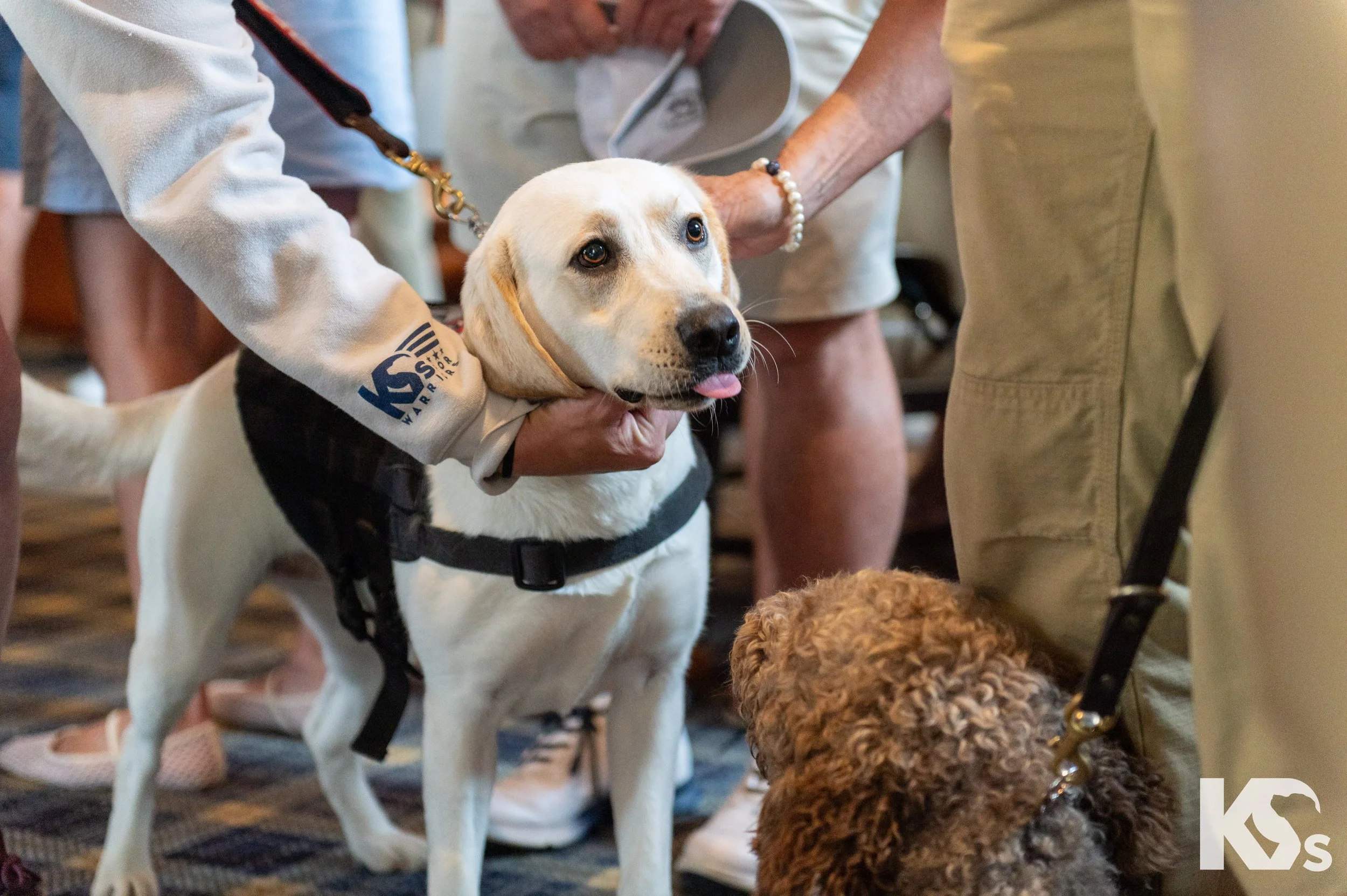 K9FW_260728_Sophie_4072.jpg
