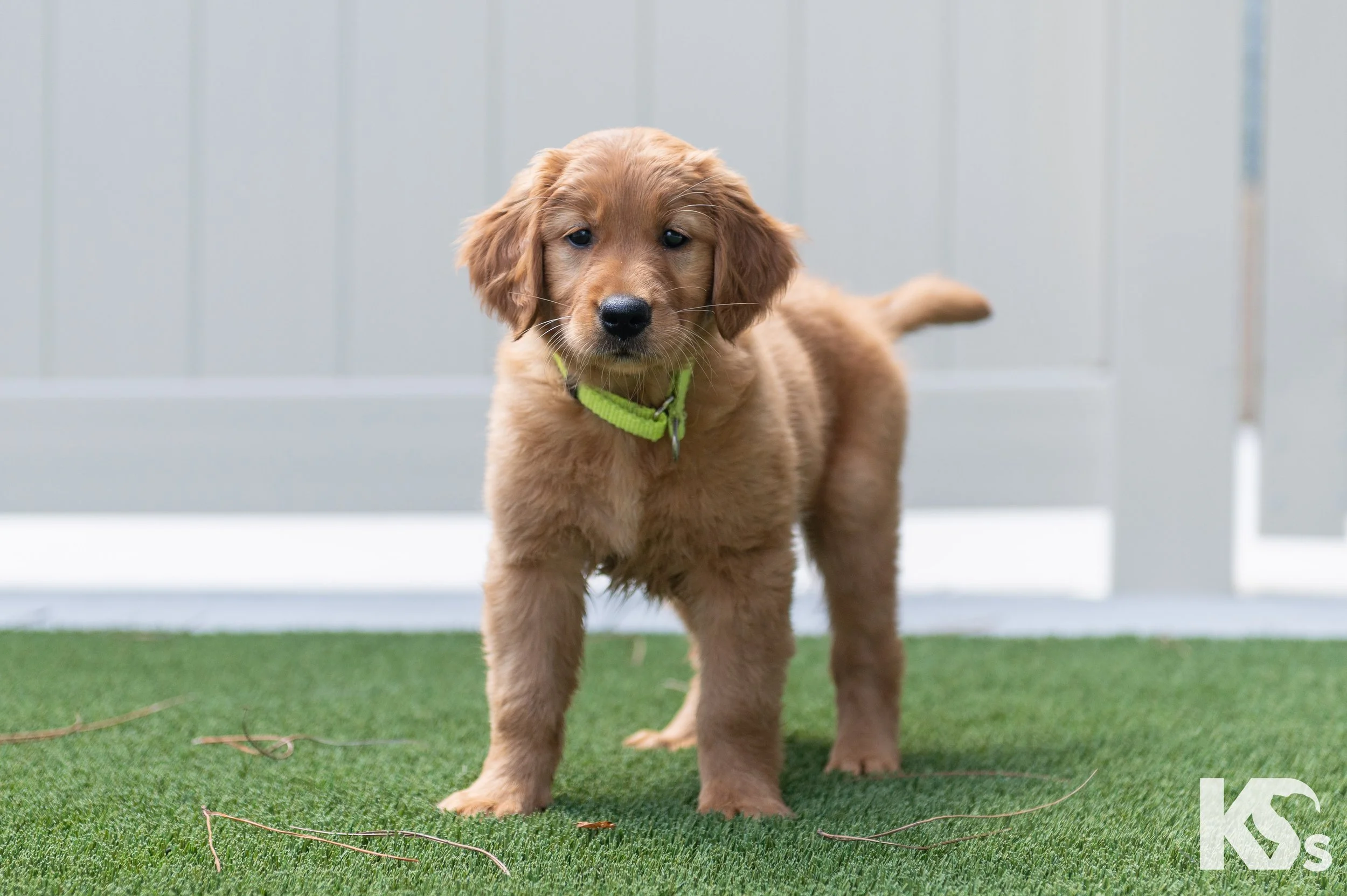 K9FW_260626_Bubbles_6245.jpg